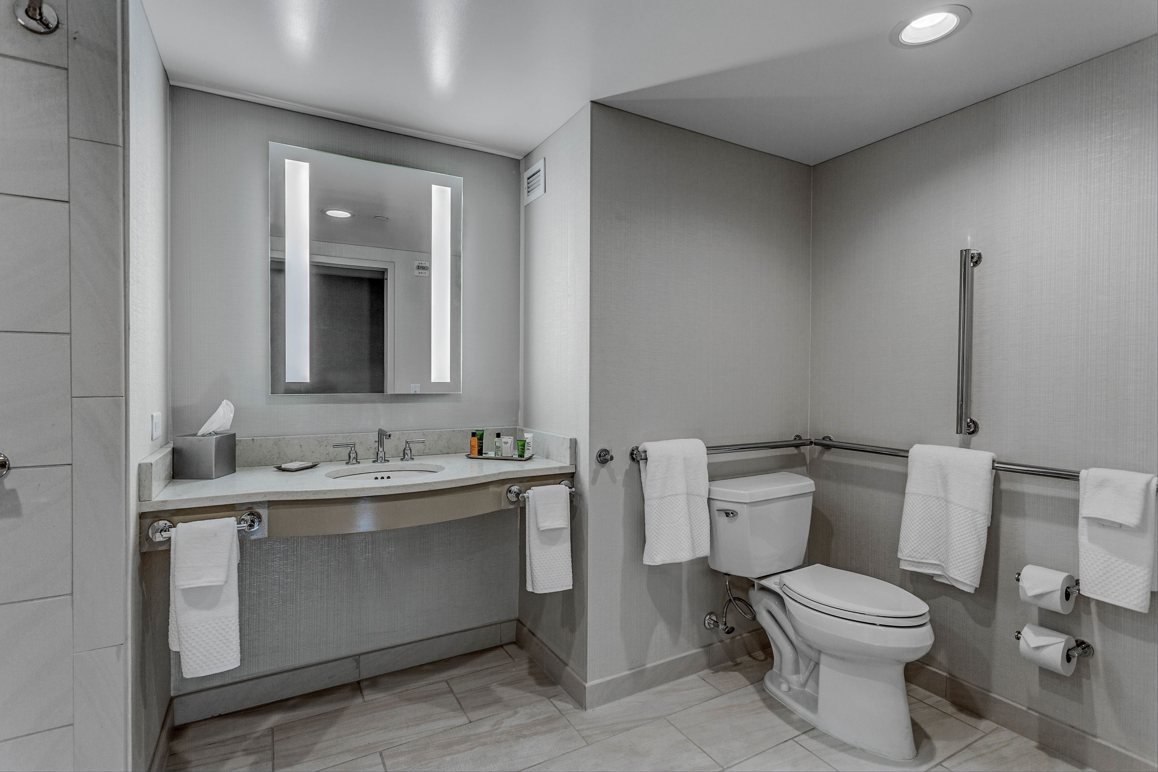 A modern bathroom with a sink, mirror, toilet, and handrail.