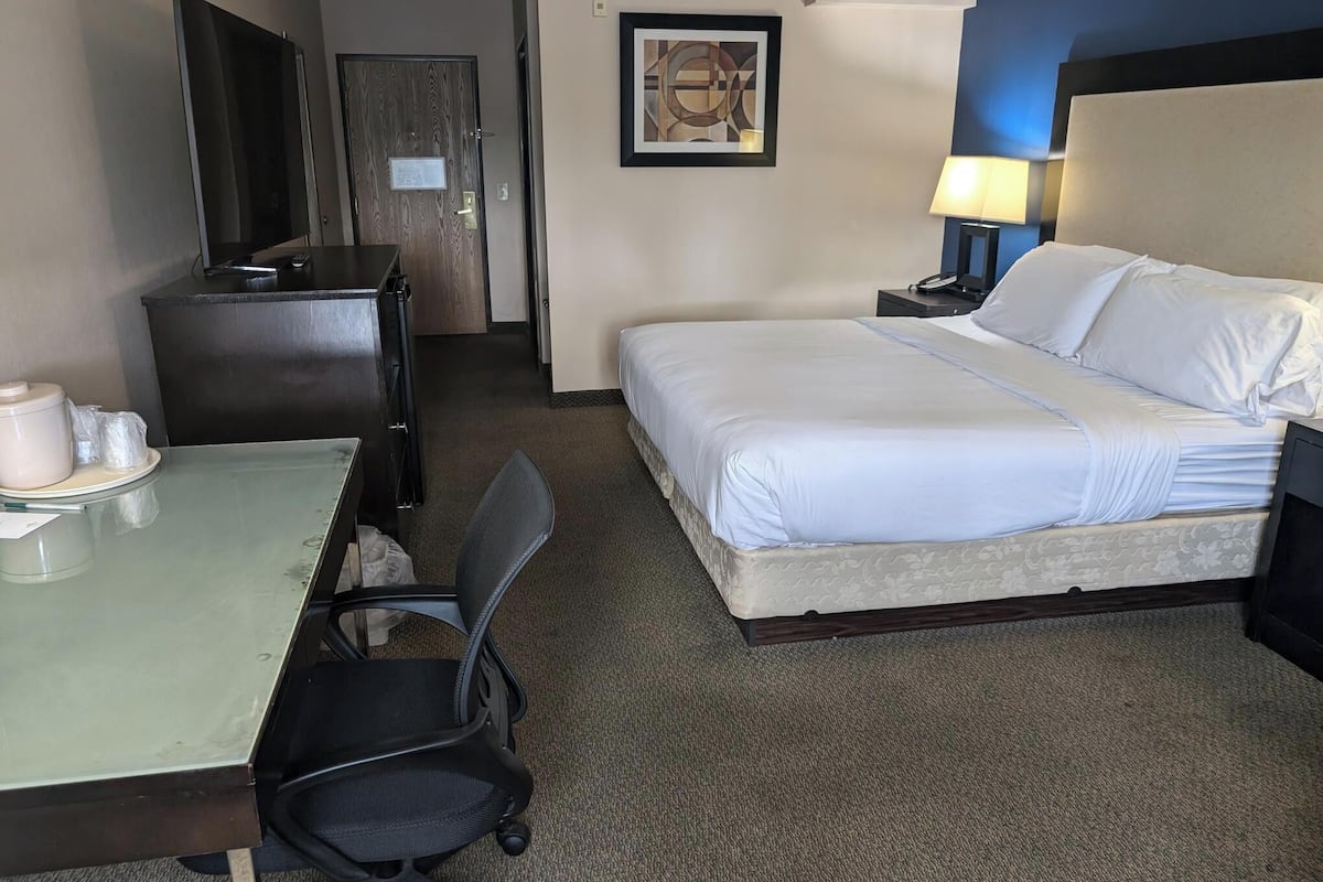 Habitación de hotel con cama, escritorio con silla, televisión, lámpara y un cuadro en la pared.