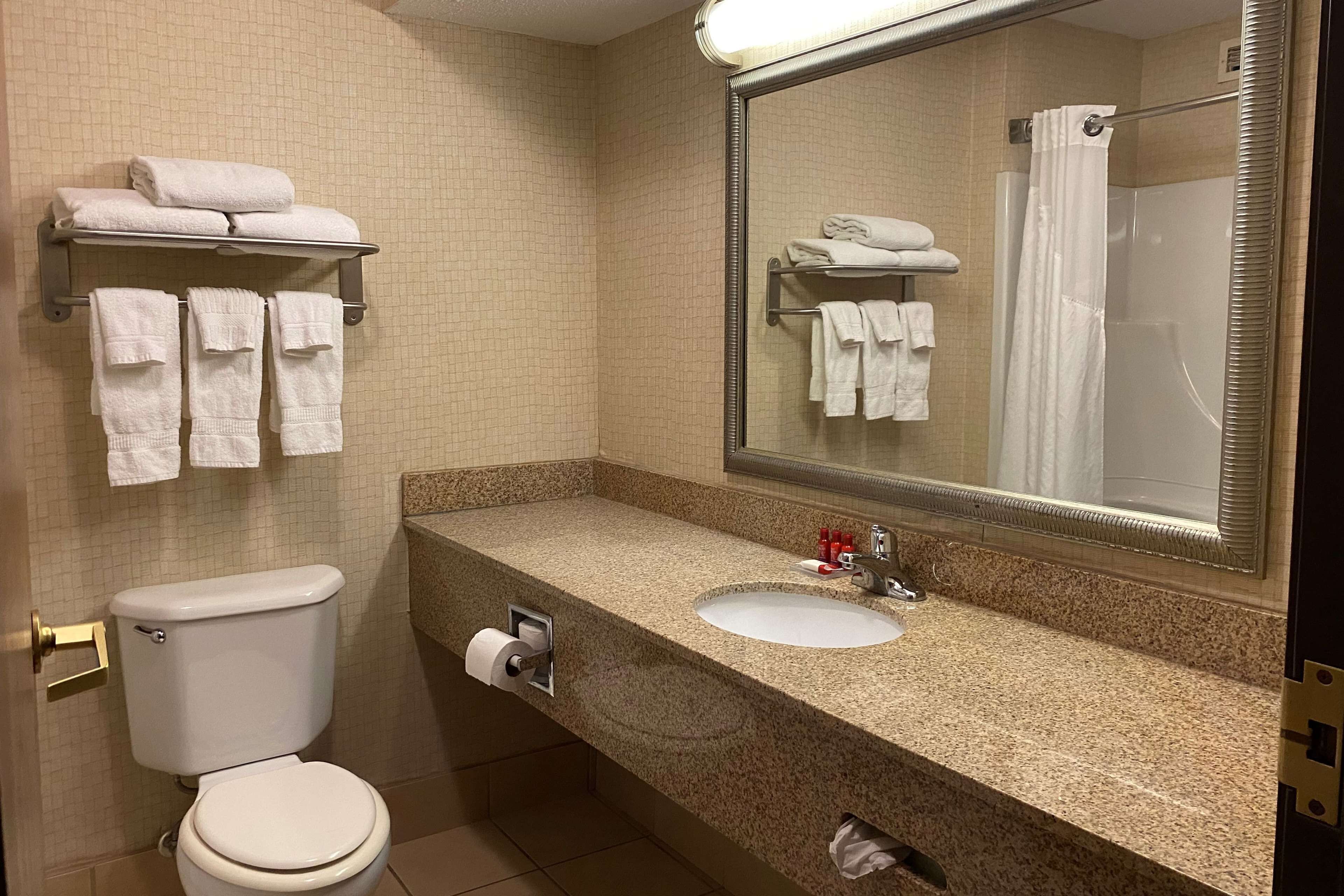 A bathroom with a toilet, sink, mirror, and towel rack.