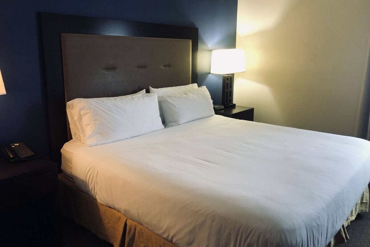 A hotel room with a large bed, a nightstand with a lamp, and a telephone.