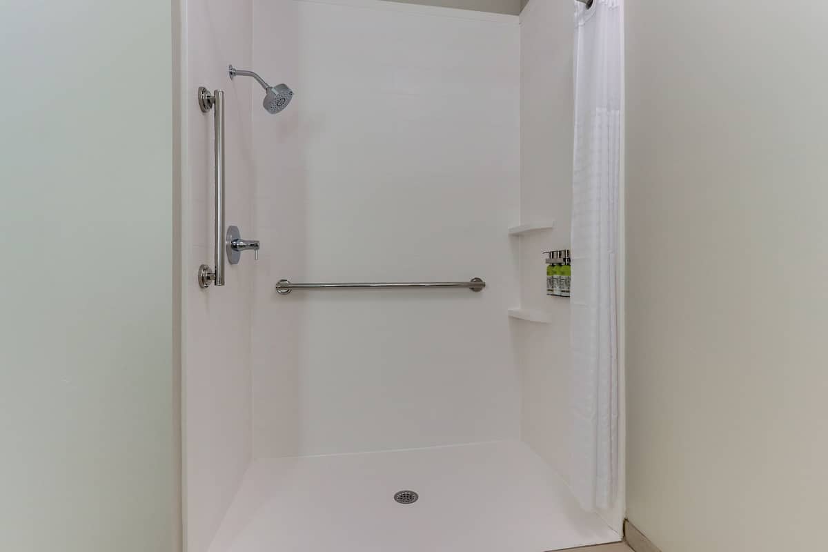 standard room, 1 king bed, accessible (communications, roll-in shower) | room amenity