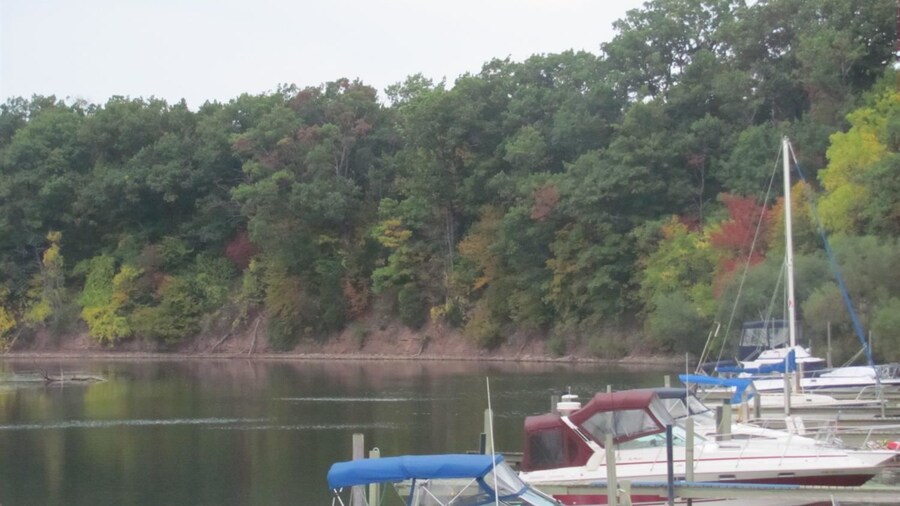 Best Western Brockport Inn & Suites