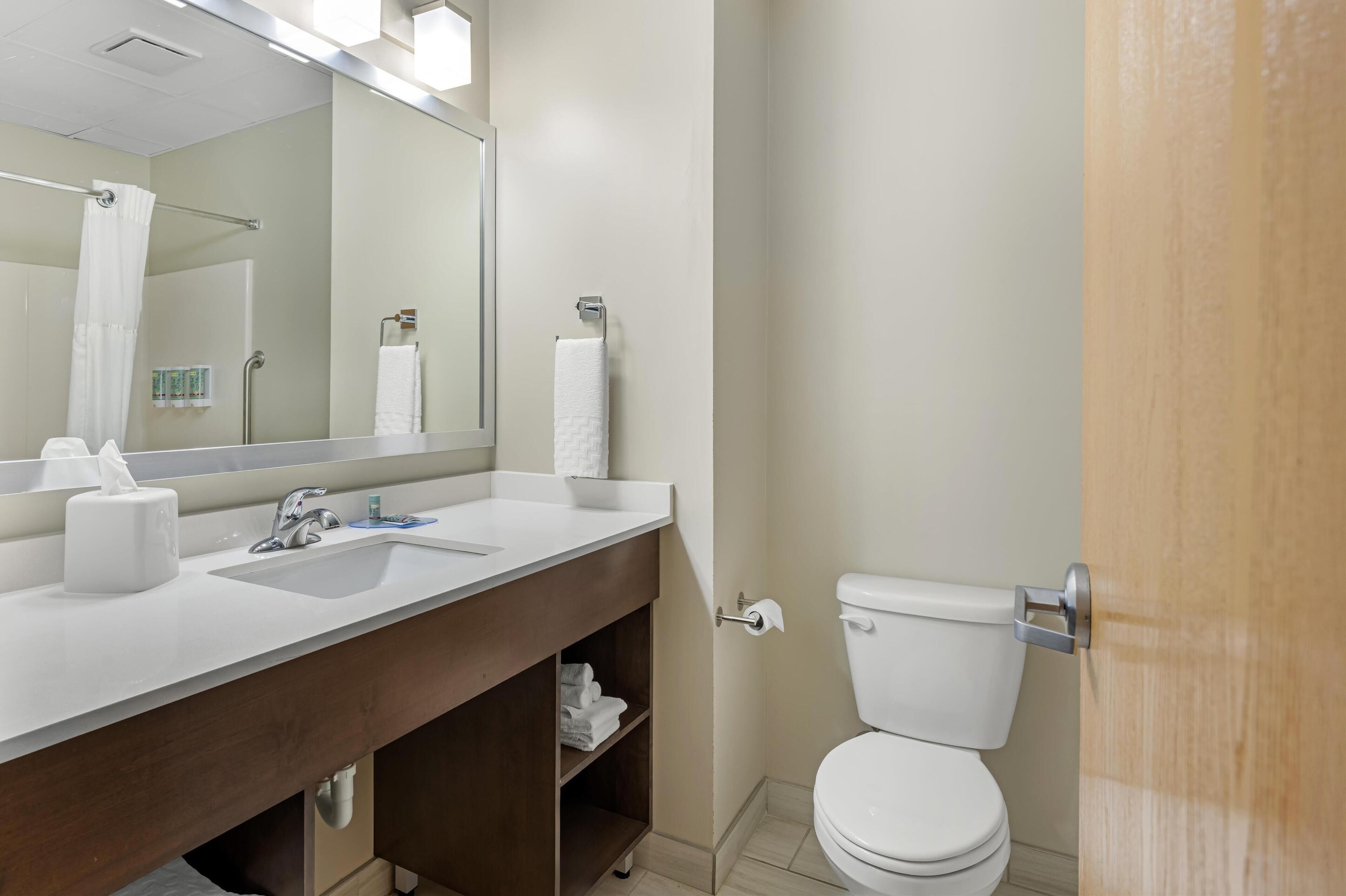 suite, 1 king bed with sofa bed, non smoking, refrigerator & microwave (with sofabed) | bathroom | hair dryer, towels