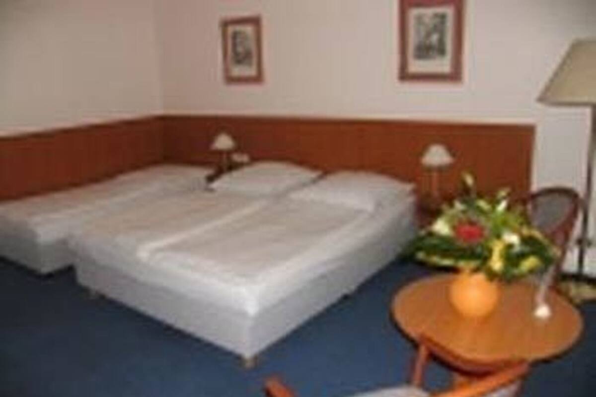A hotel room with two single beds, a small table with a plant, and a chair.
