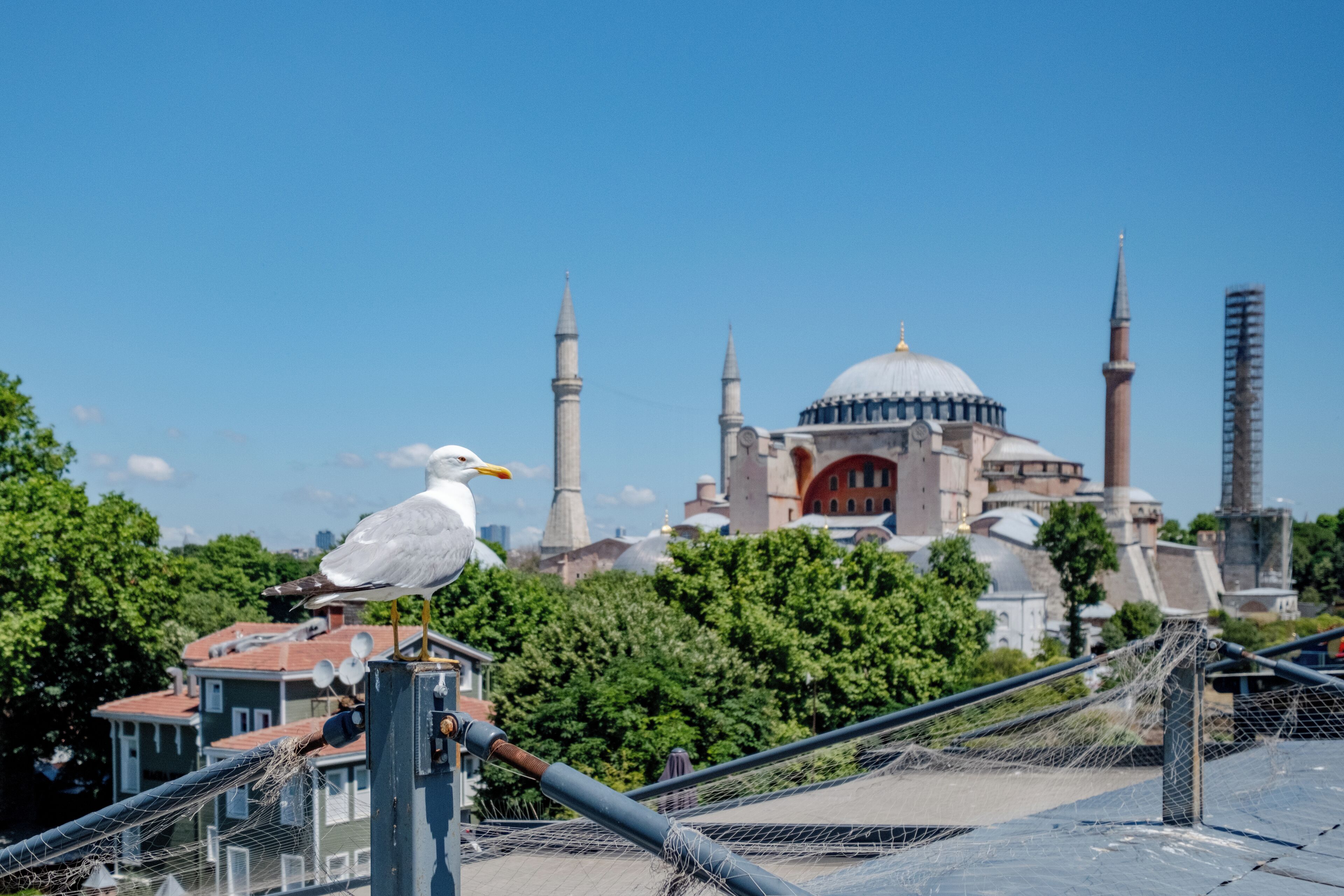 Foto - Armagrandi Spina Hotel-Special Category