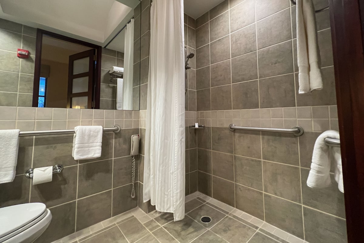 A bathroom with a shower, toilet, and a mirror.