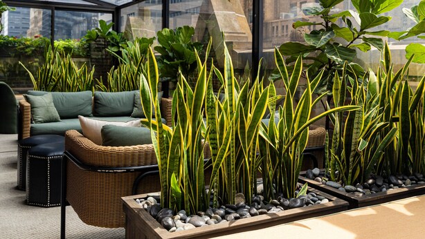 Un jardin intérieur moderne, doté d’espaces aménagés pour s’asseoir, de grandes fenêtres et d’une variété de plantes.