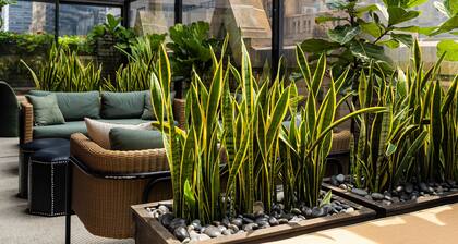 Library Hotel by Library Hotel Collection