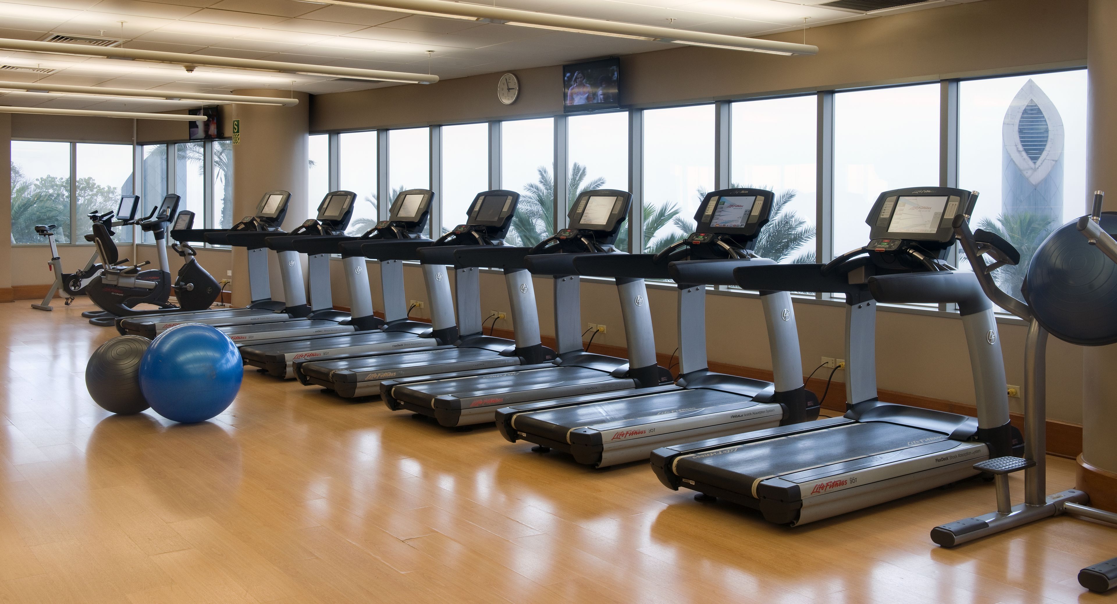 A gym with multiple treadmills aligned in a row, a large window with a view of palm trees, and exercise balls on the floor.