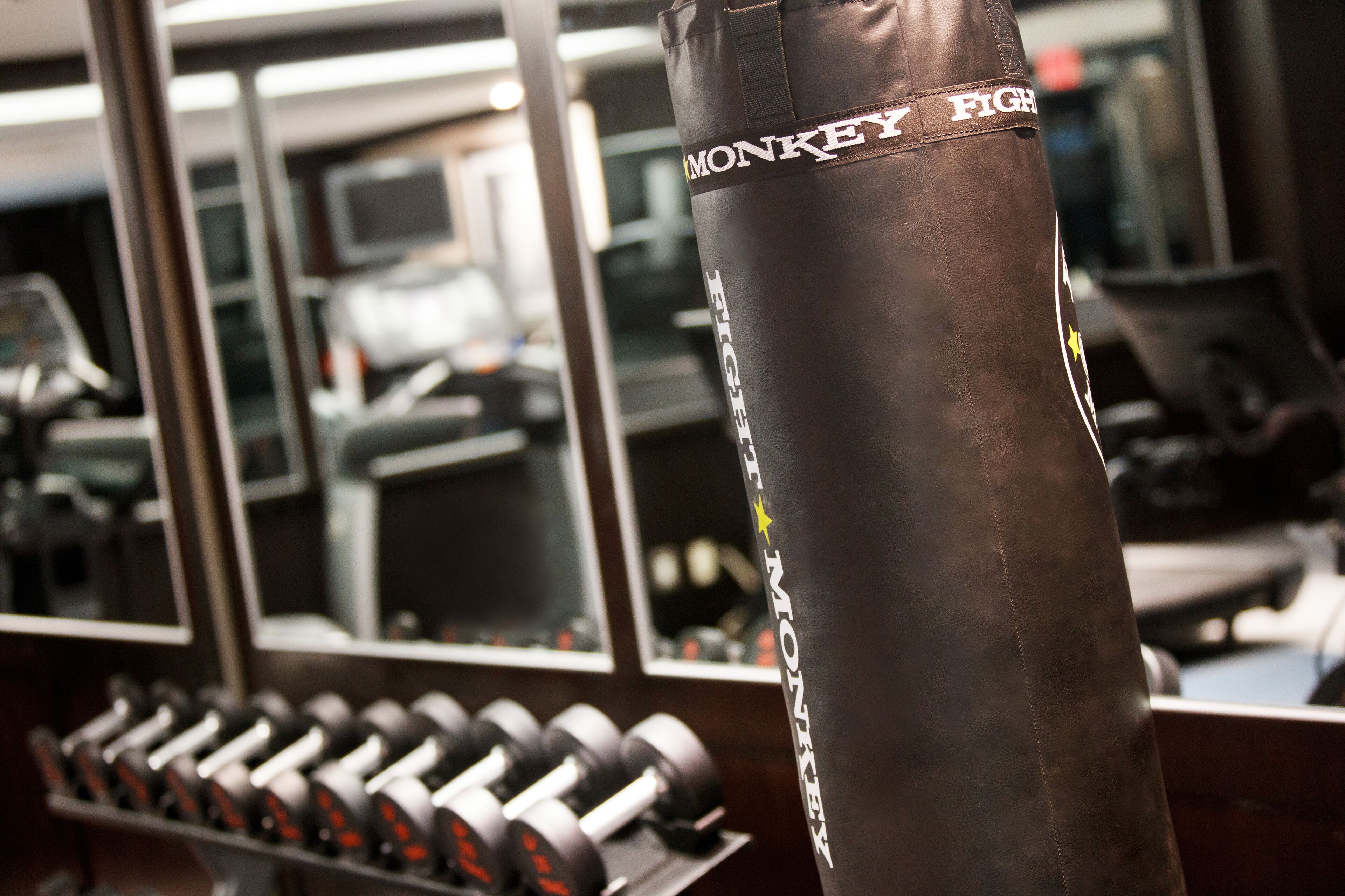 Un gimnasio con un saco de boxeo que dice 'MONKEY FIGHT' y un estante con mancuernas.