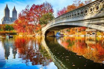 Point of interest at The Muse New York