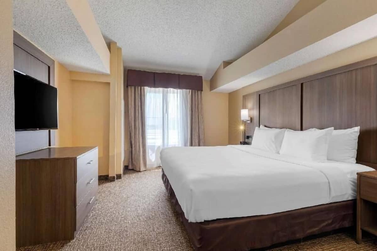 1 habitación, ropa de cama de alta calidad y escritorio