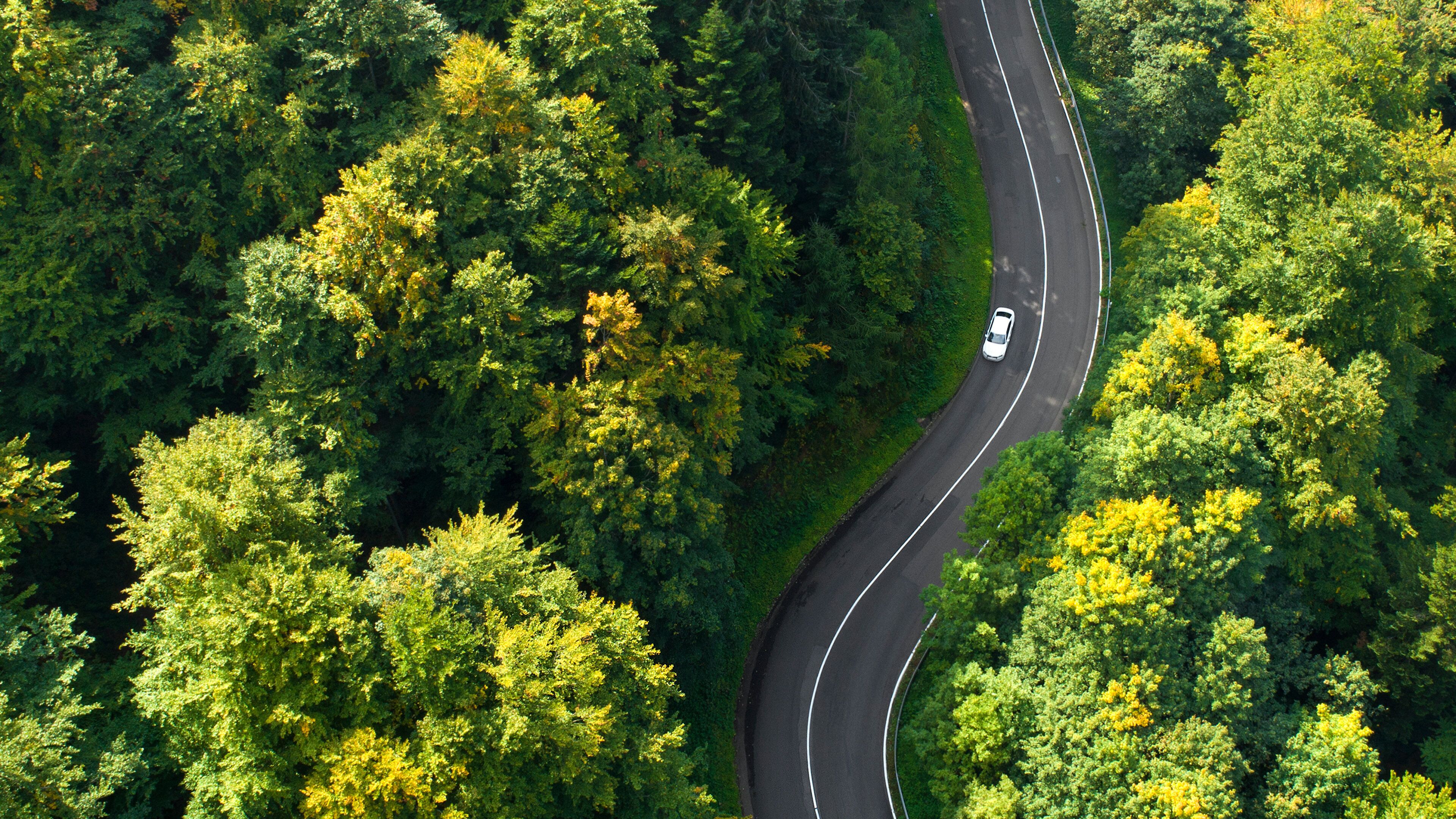 An aerial view of a winding road through a dense forest.