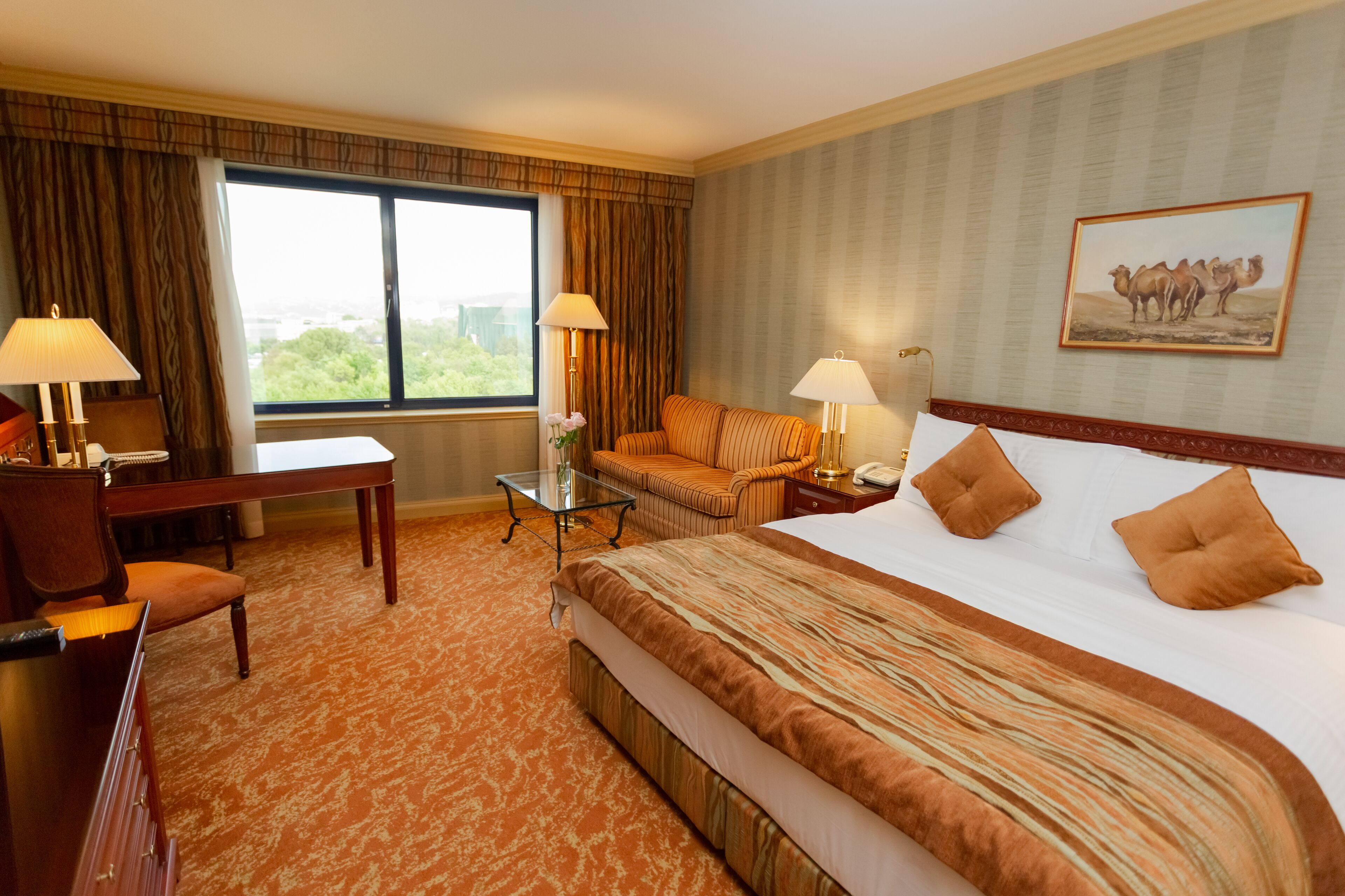 Hypo-allergenic bedding, down comforters, minibar, in-room safe