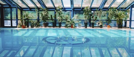 An indoor swimming pool with a glass ceiling and potted plants around the perimeter.