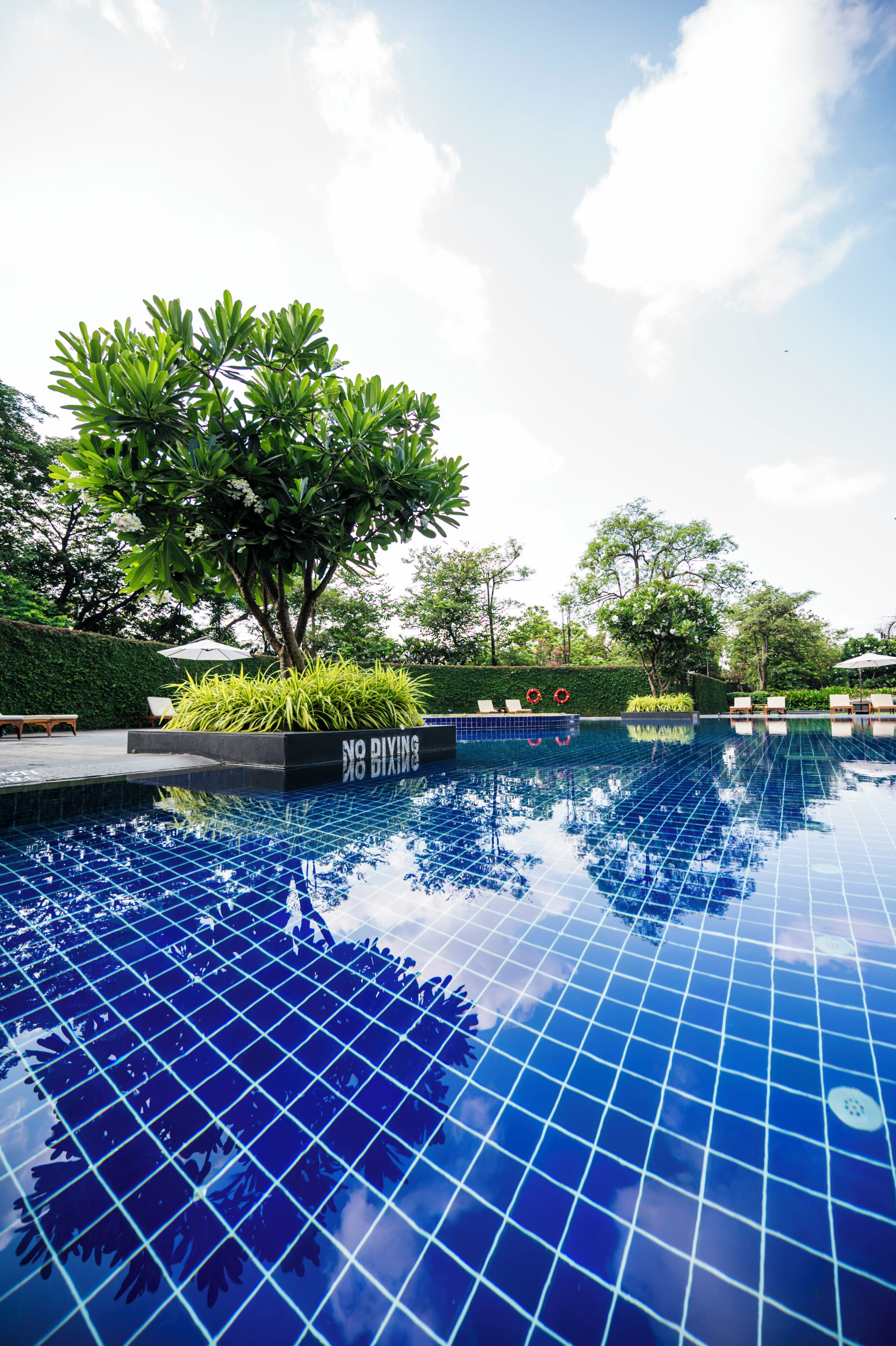 2 outdoor pools, free pool cabanas, pool umbrellas
