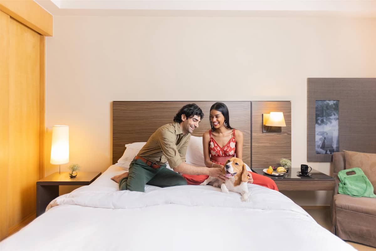 Premium bedding, minibar, in-room safe, individually decorated