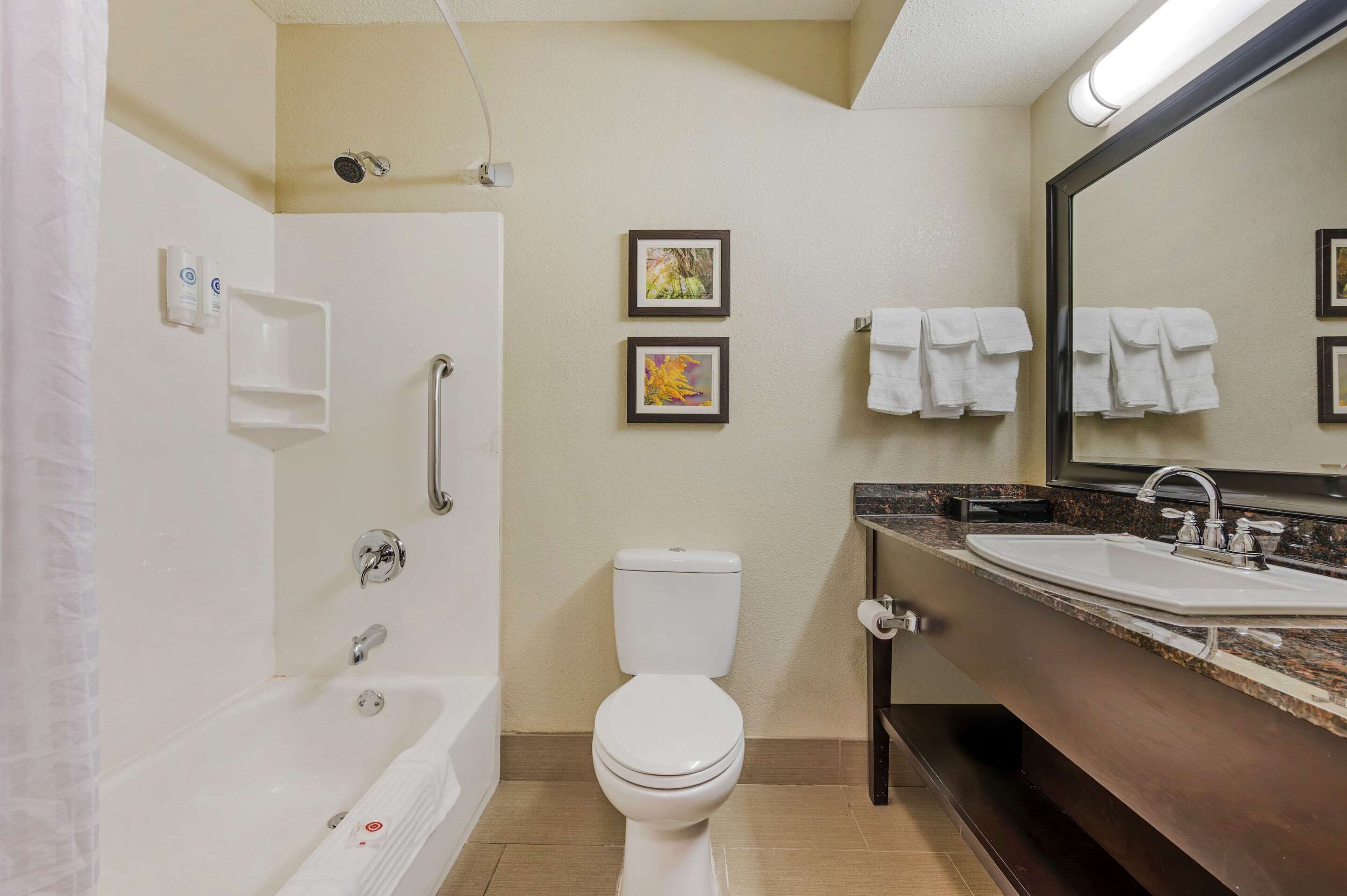 combined shower/bathtub, free toiletries, hair dryer, towels