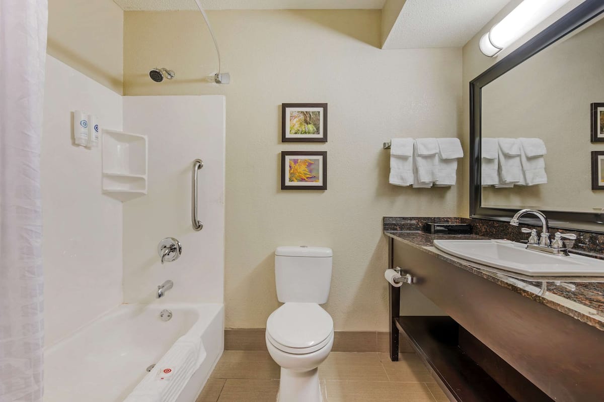 combined shower/bathtub, free toiletries, hair dryer, towels