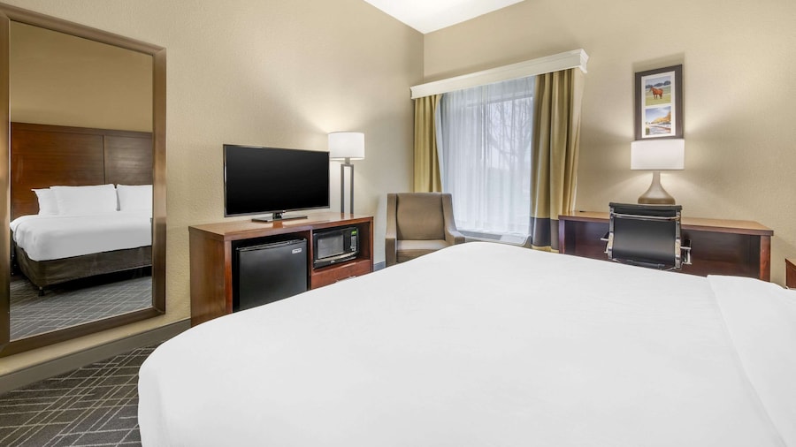Comfort Inn Airport Turfway Road