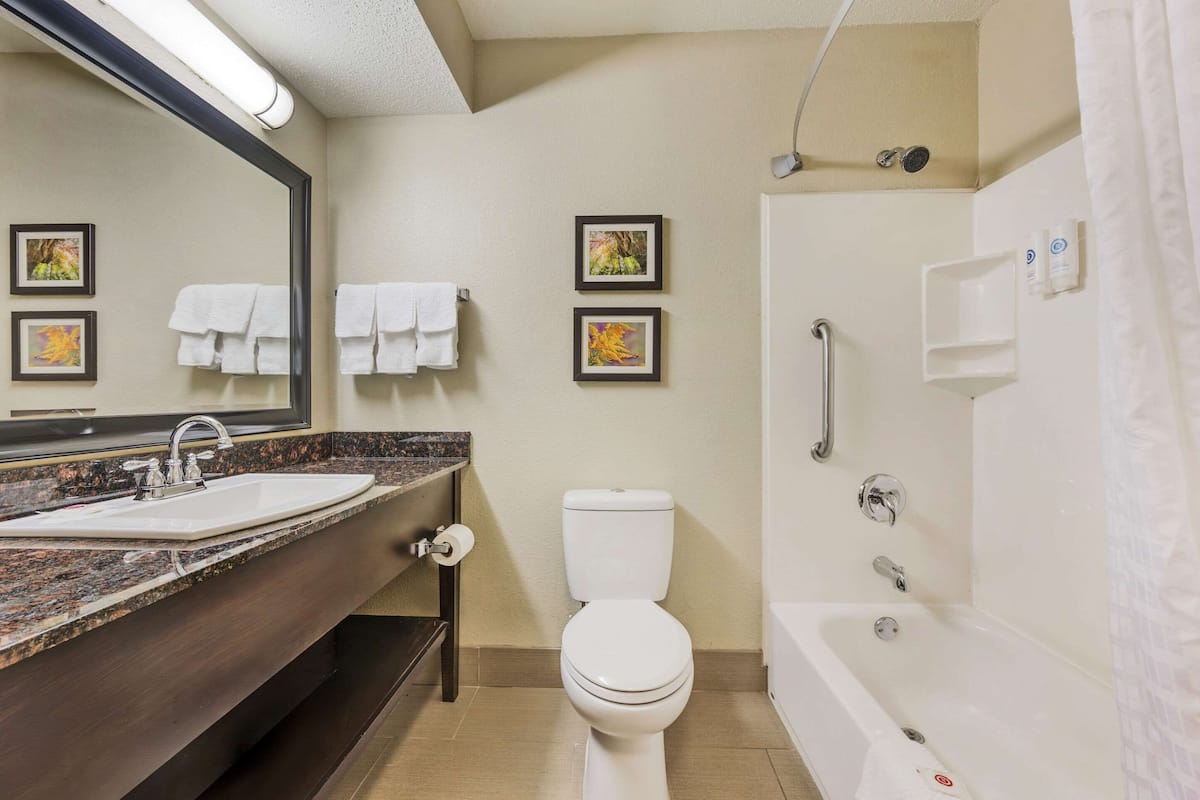 combined shower/bathtub, free toiletries, hair dryer, towels