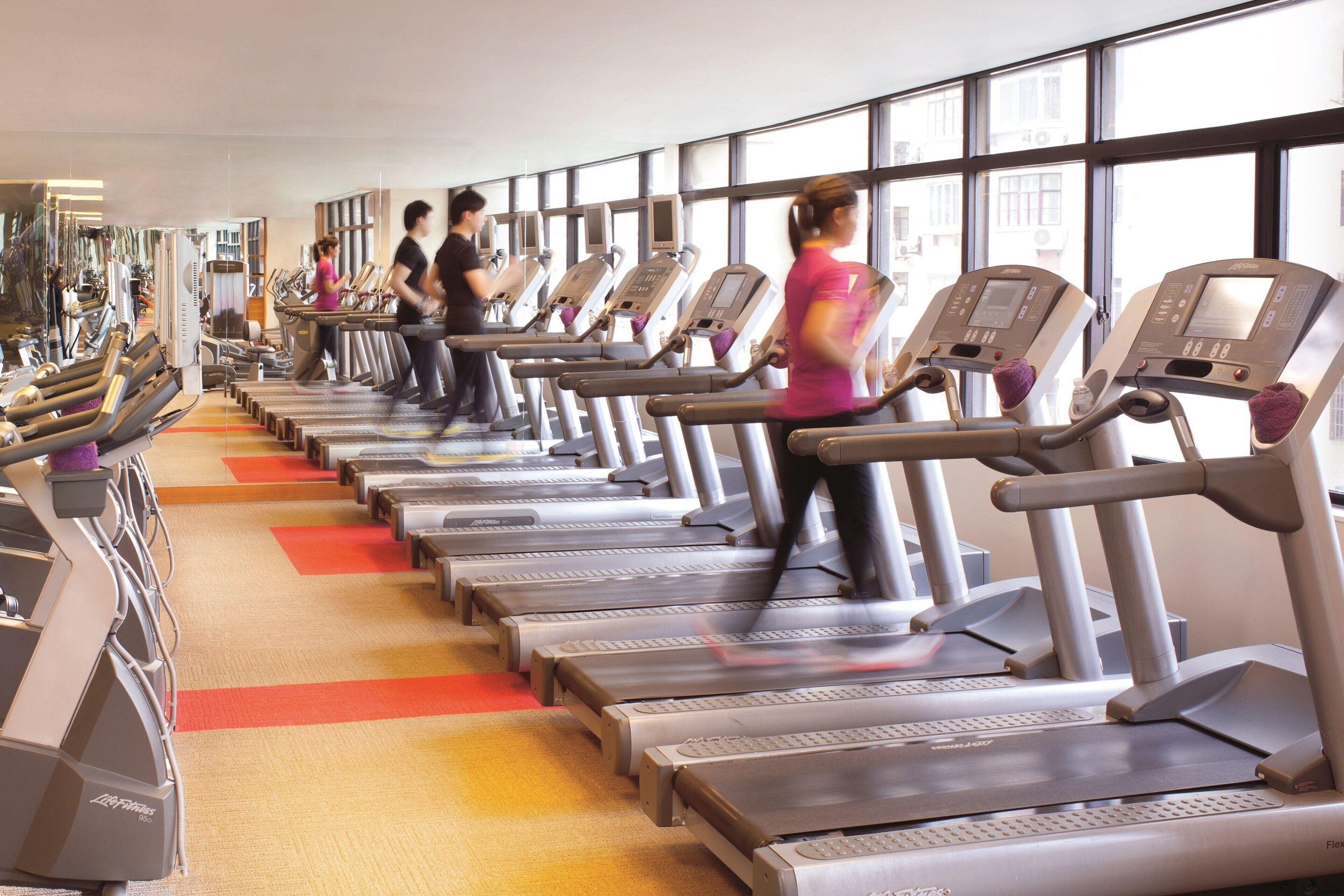 A gym with multiple treadmills aligned in rows, large windows, and a carpeted floor.