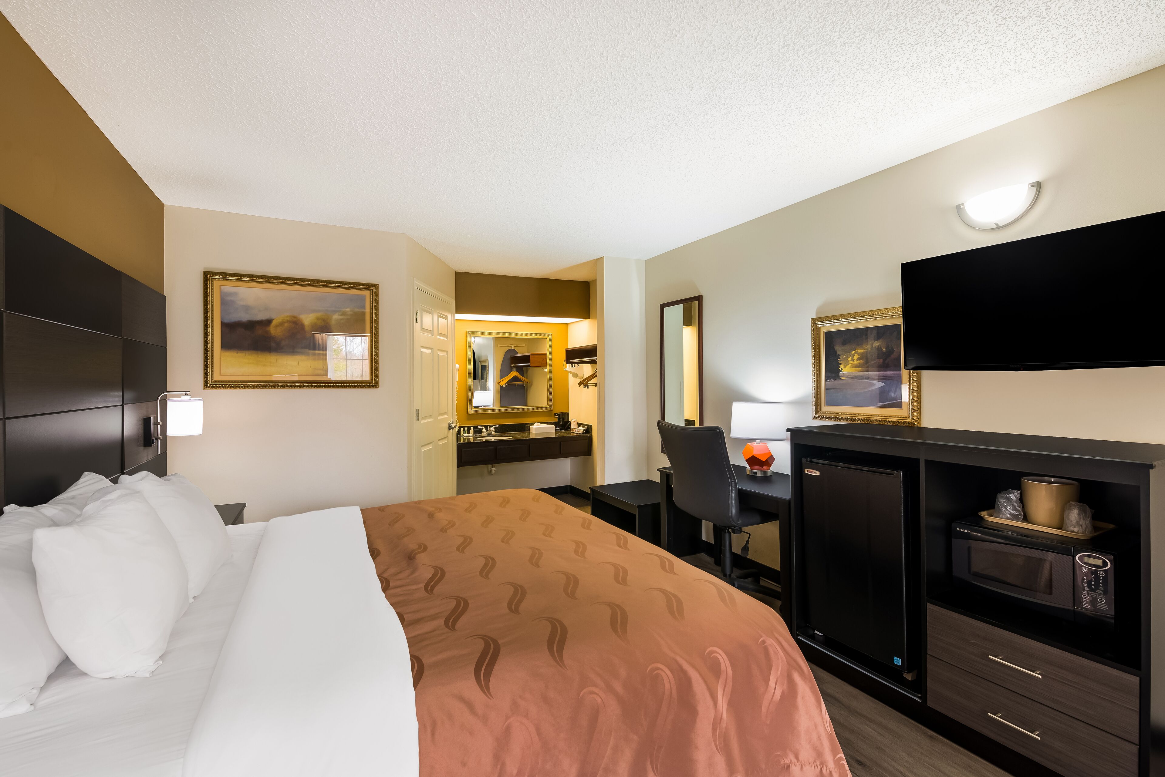 A hotel room with a bed, a desk, a TV, a microwave, and a wardrobe.