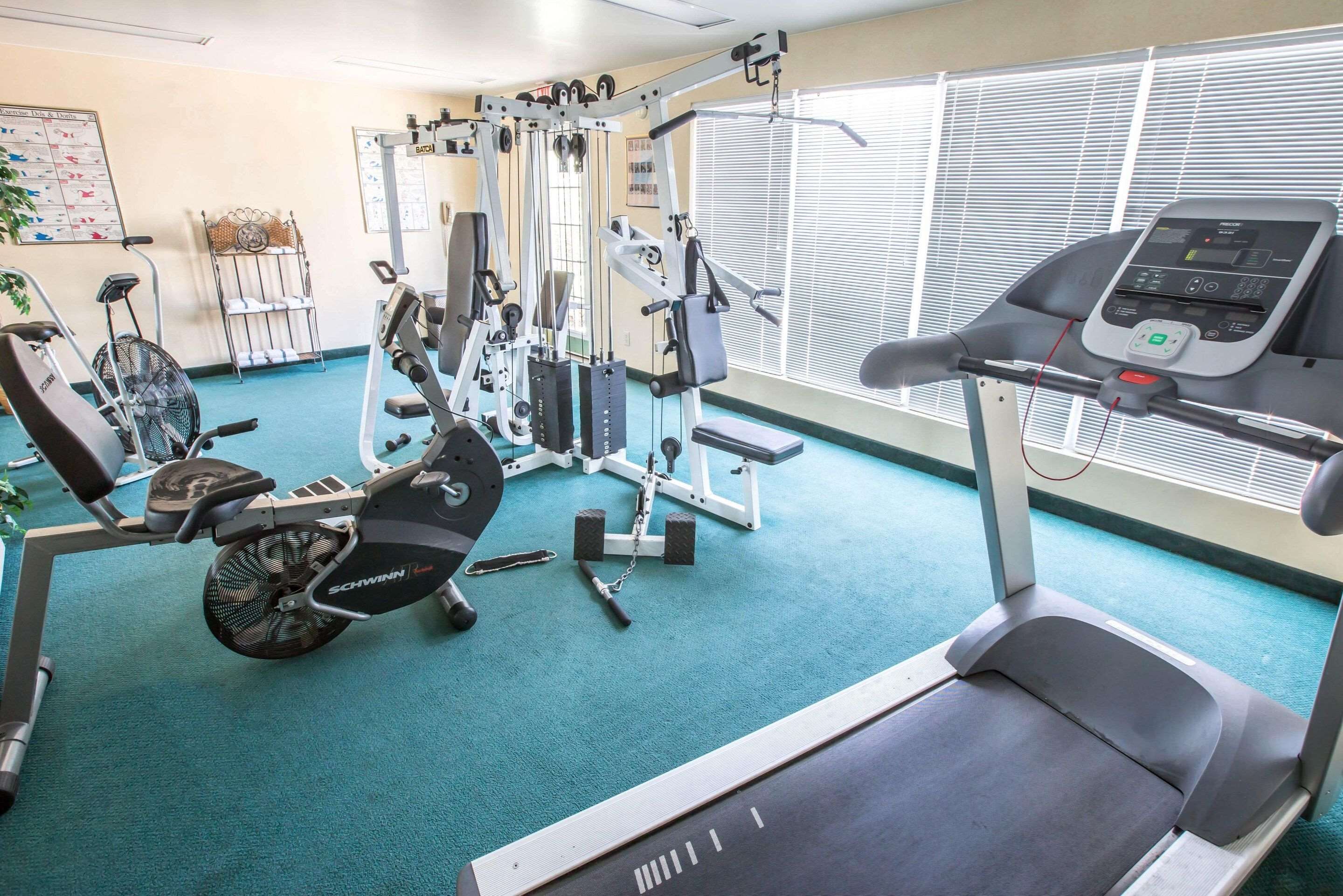 A gym with a treadmill, elliptical, and weight machines.