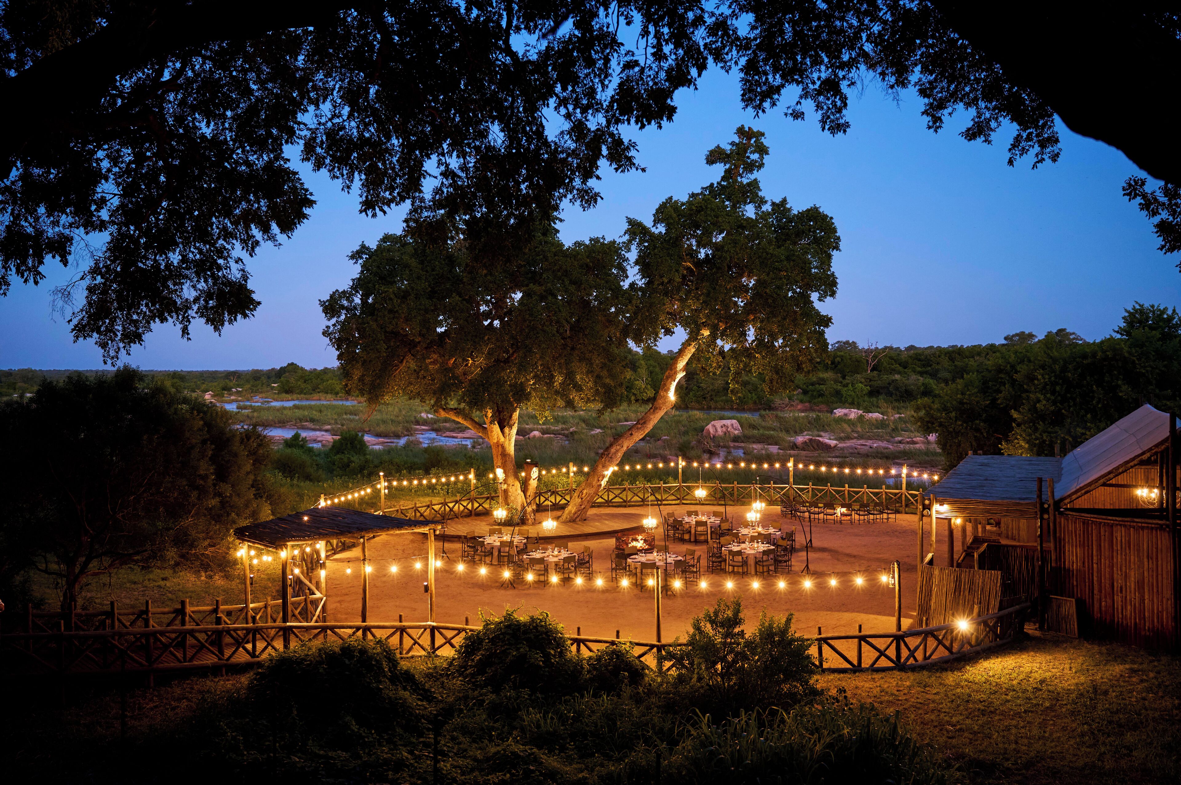 An outdoor dining area with string lights, tables, and a large tree in the center.