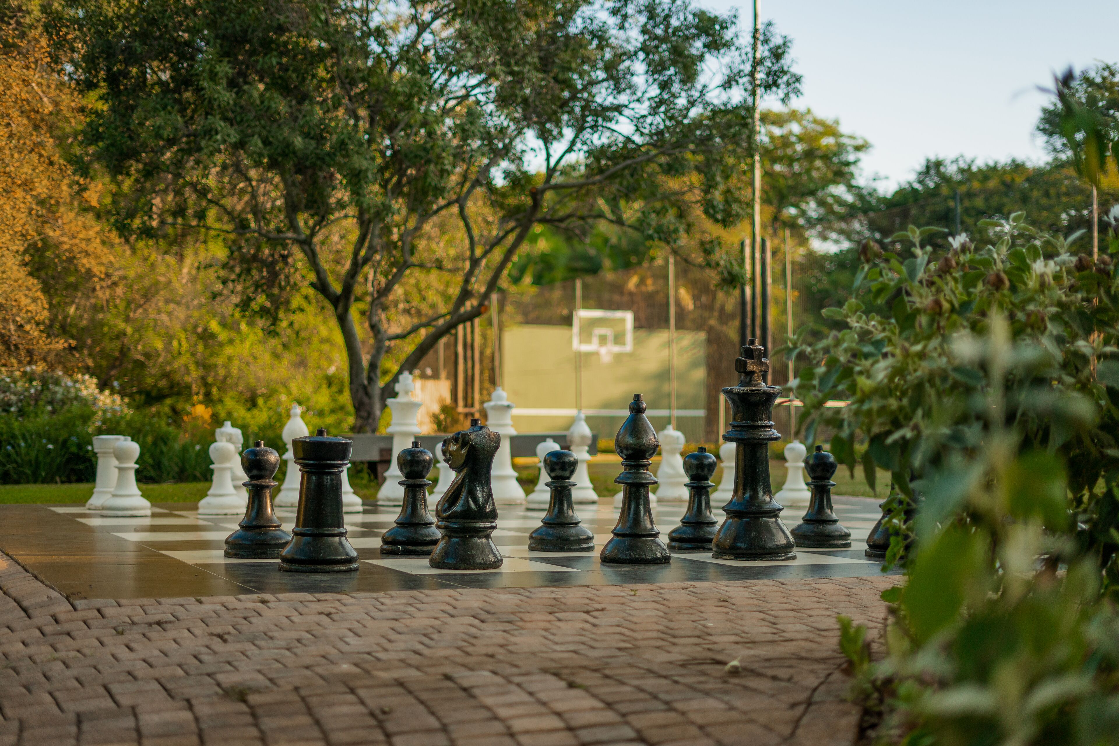 children’s activities