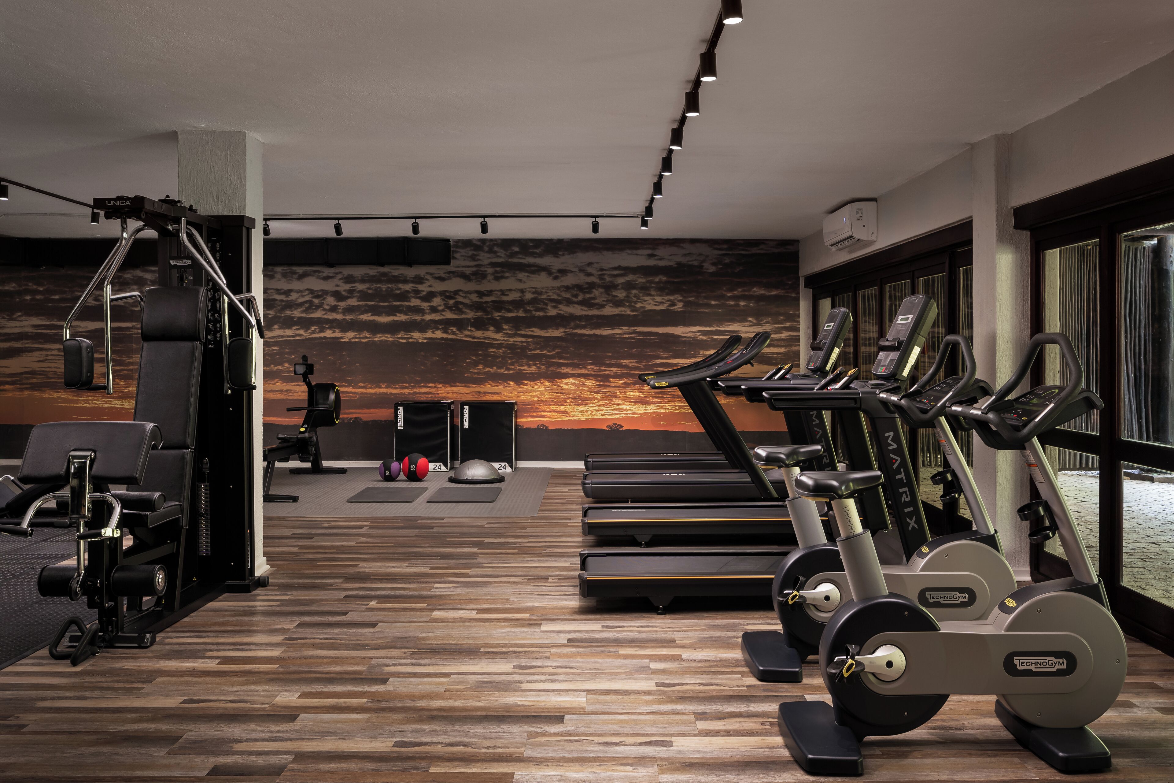 A gym with treadmills, elliptical machines, and weightlifting equipment.