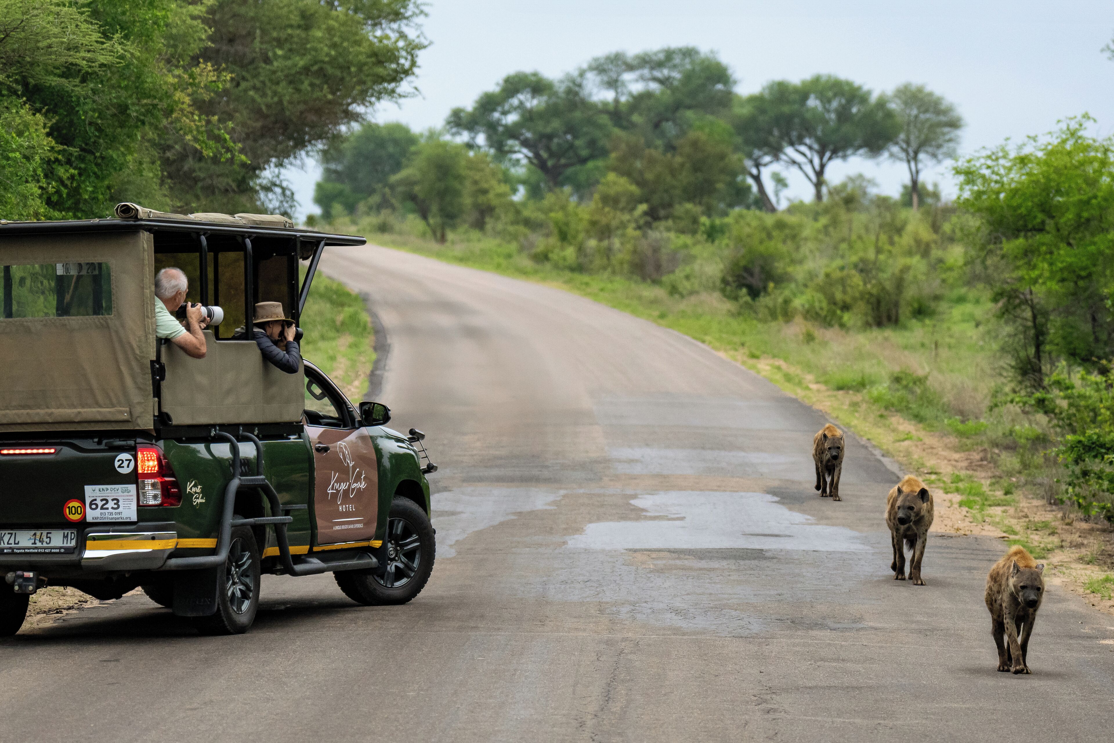 Safari