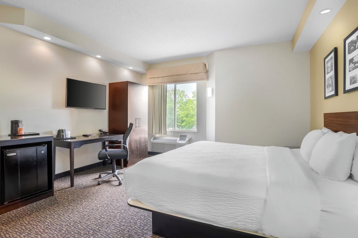 In-room safe, desk, iron/ironing board, free WiFi