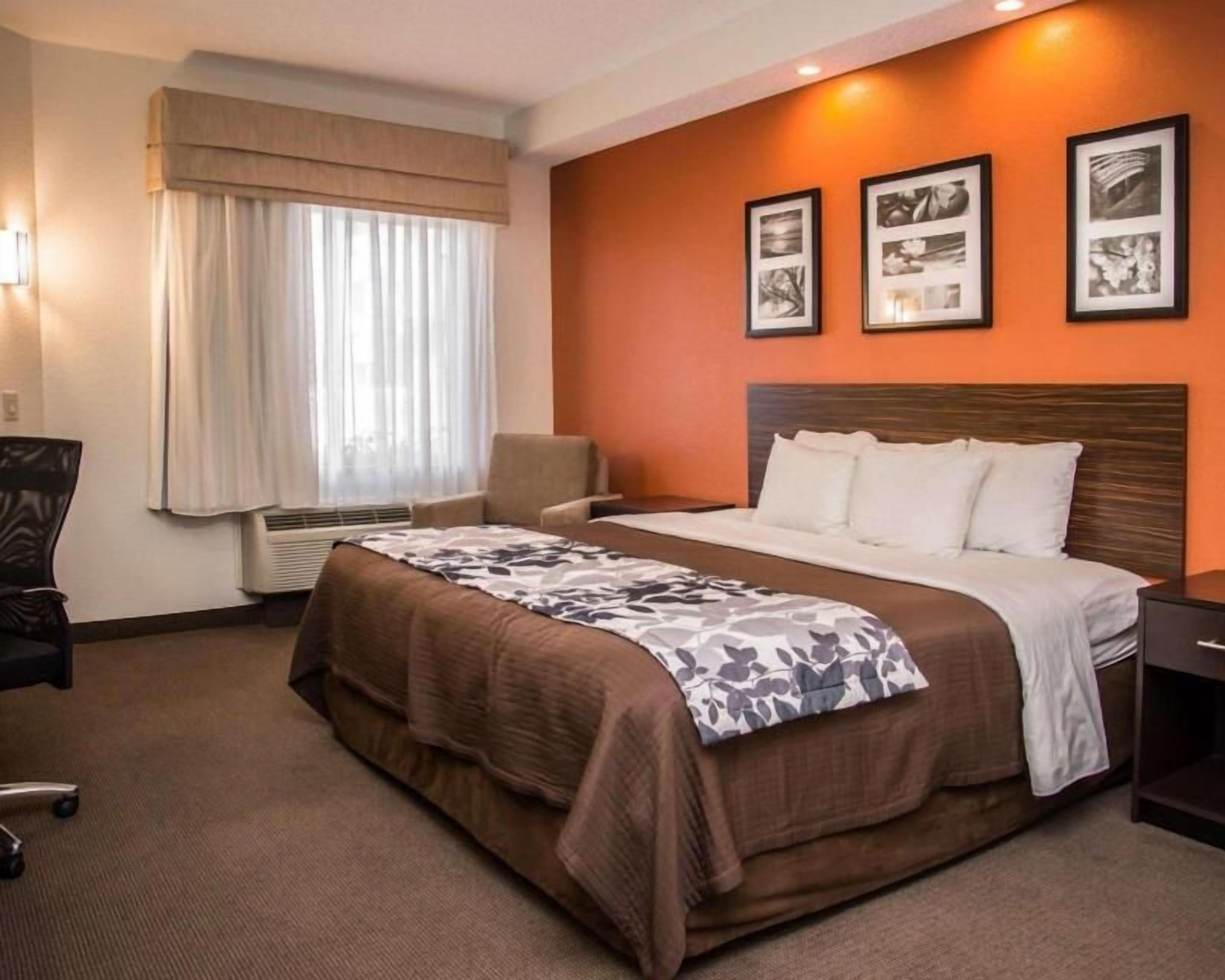In-room safe, desk, iron/ironing board, free WiFi