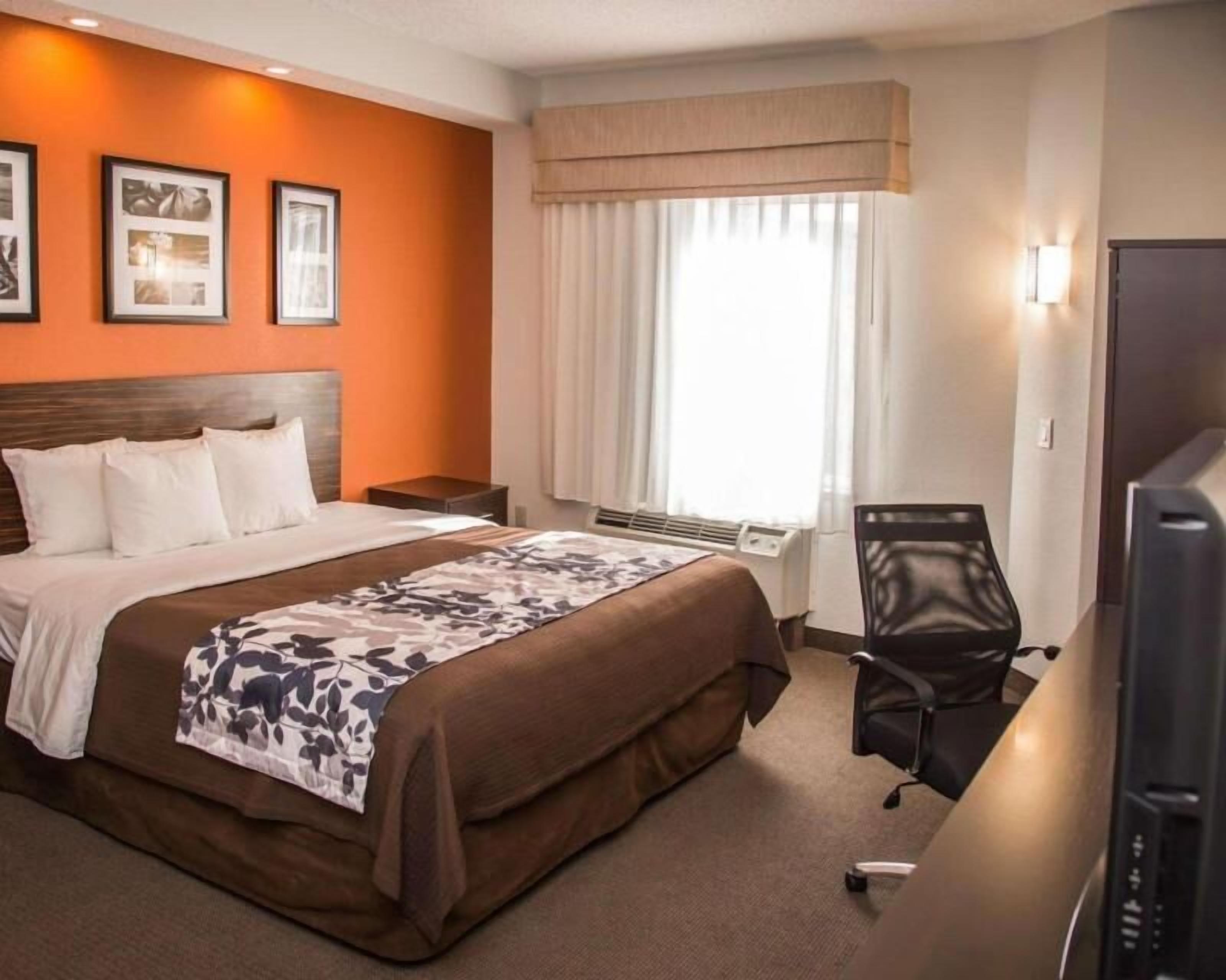 In-room safe, desk, iron/ironing board, free WiFi