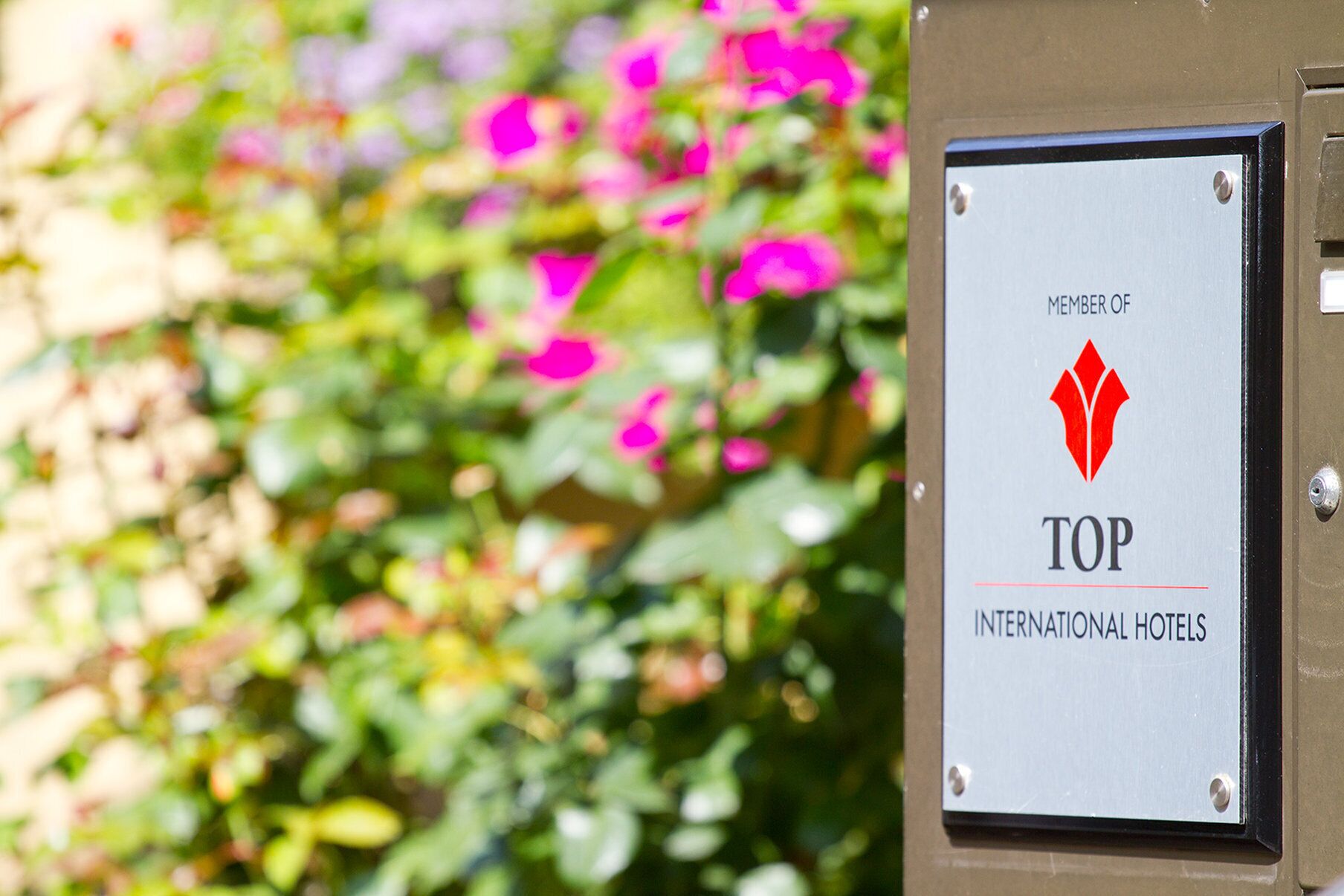 Photo - TOP Hotel Amberger