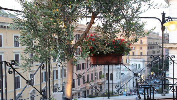 Un balcon agrémenté d’un arbre en pot, d’un pot suspendu orné de fleurs rouges et d’une table avec des chaises.