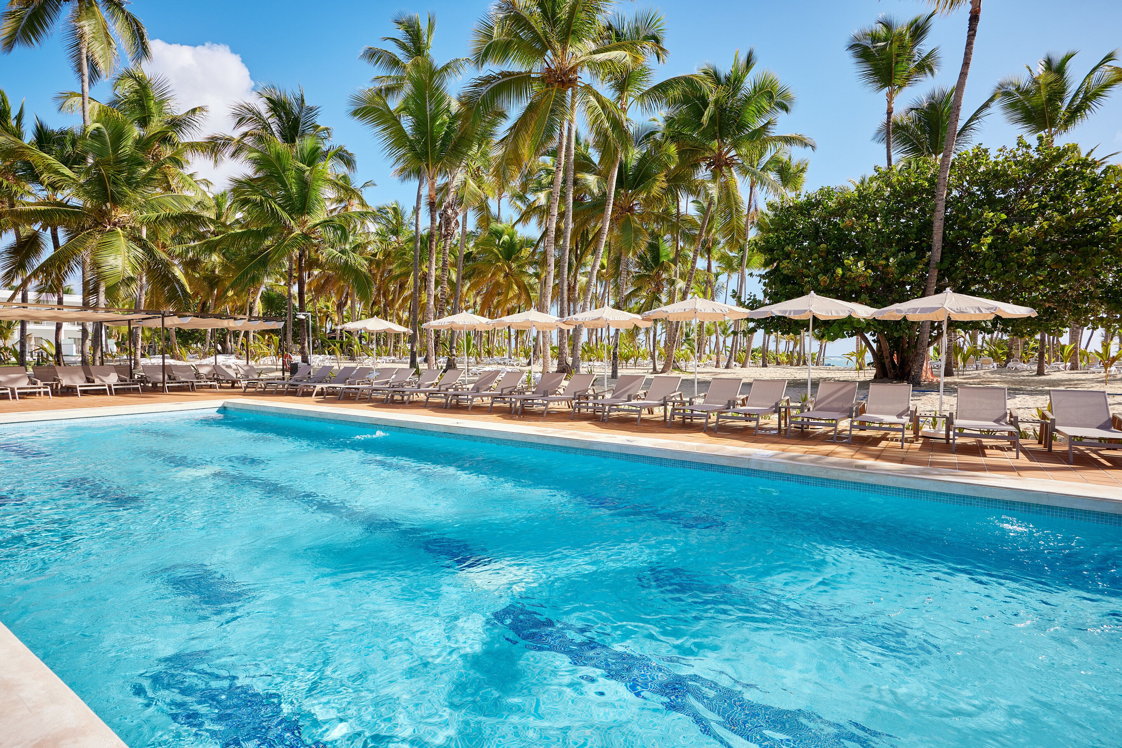 Hotel Riu Palace Macao - Adults Only - All Inclusive Reviews