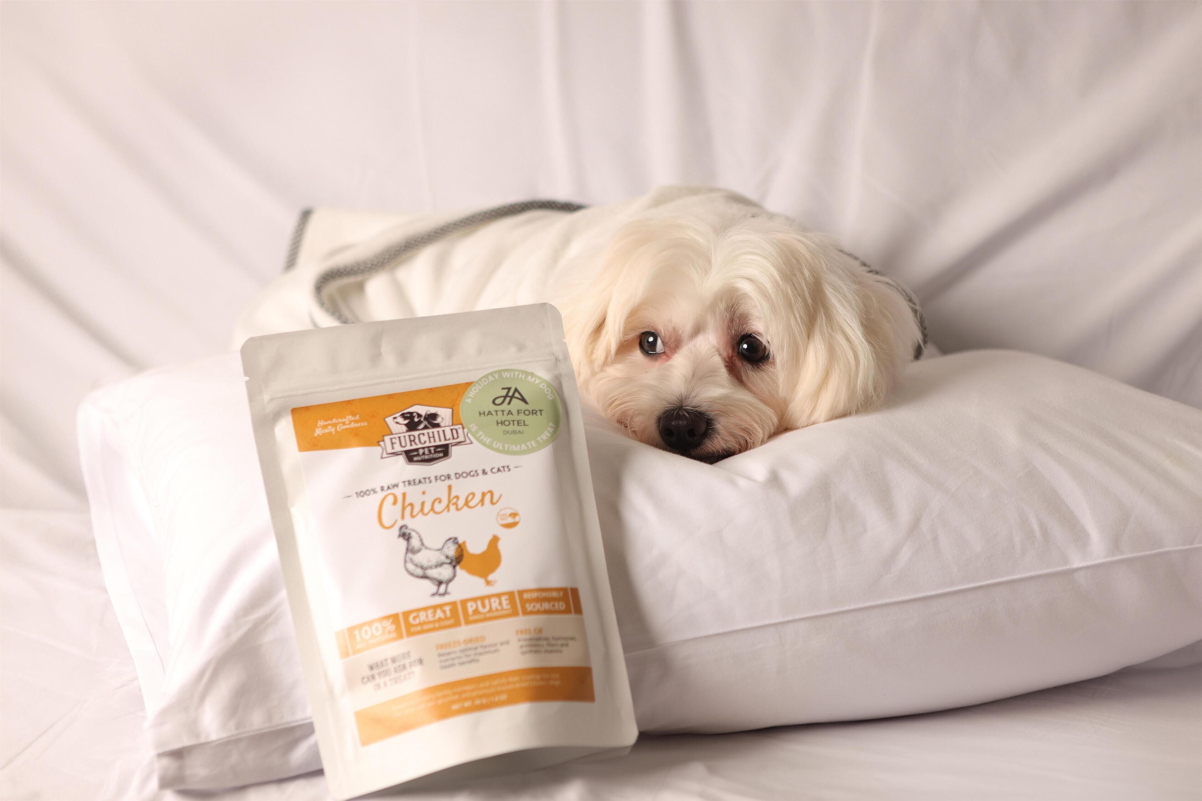 A dog lying on a white bed with a bag of dog food labeled "Be Our Child Chicken" in front of it.