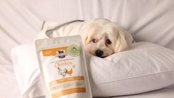 A dog lying on a white bed with a bag of dog food labeled "Be Our Child Chicken" in front of it.