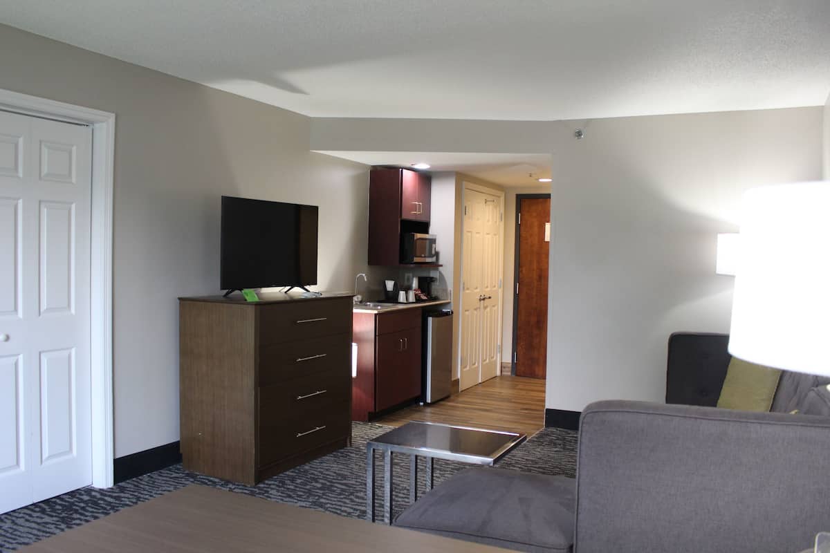 suite, 1 bedroom, non smoking (1 king bed) | living area | flat-screen tv