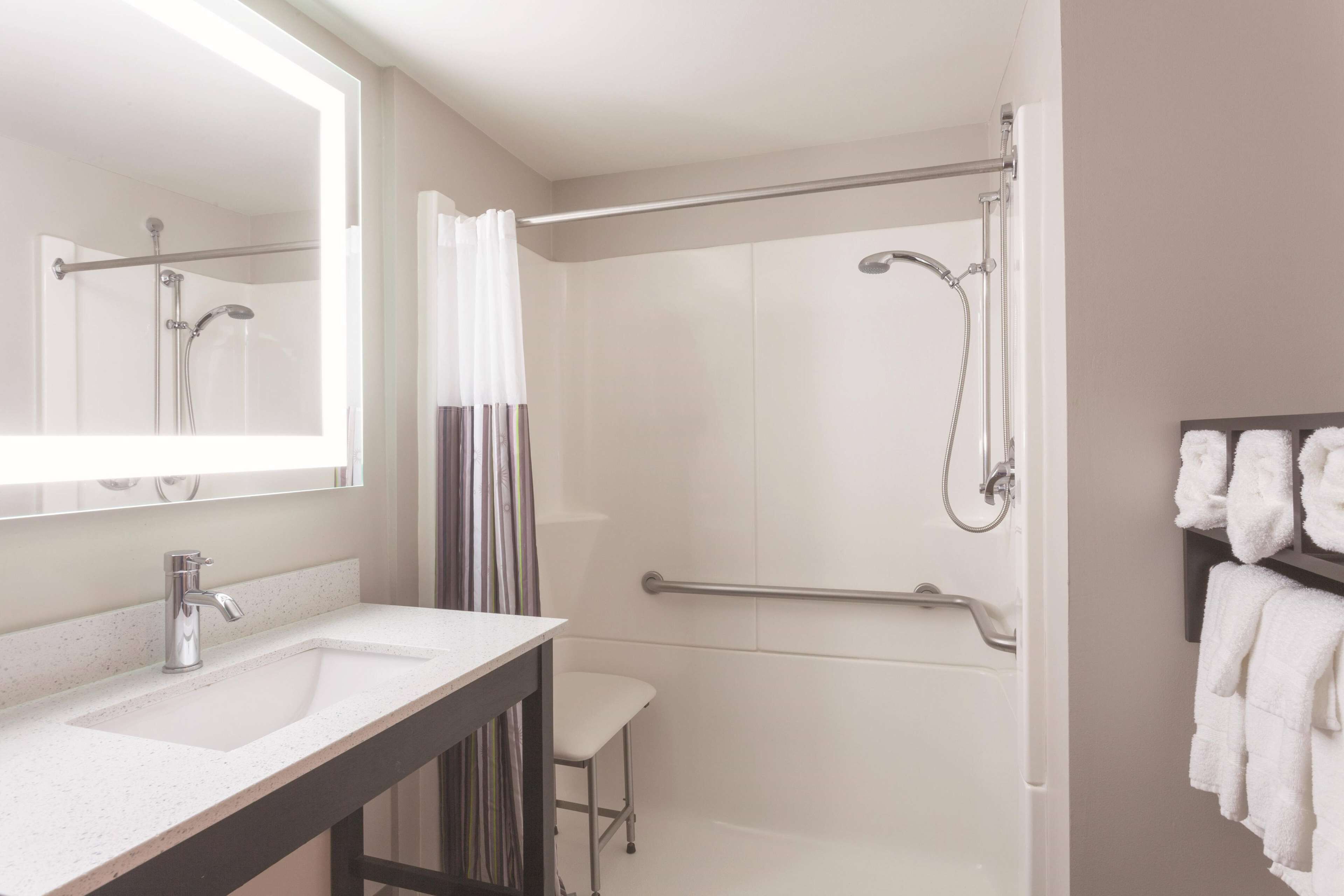 room, 1 king bed, accessible, non smoking (mobility accessible) | accessible bathroom