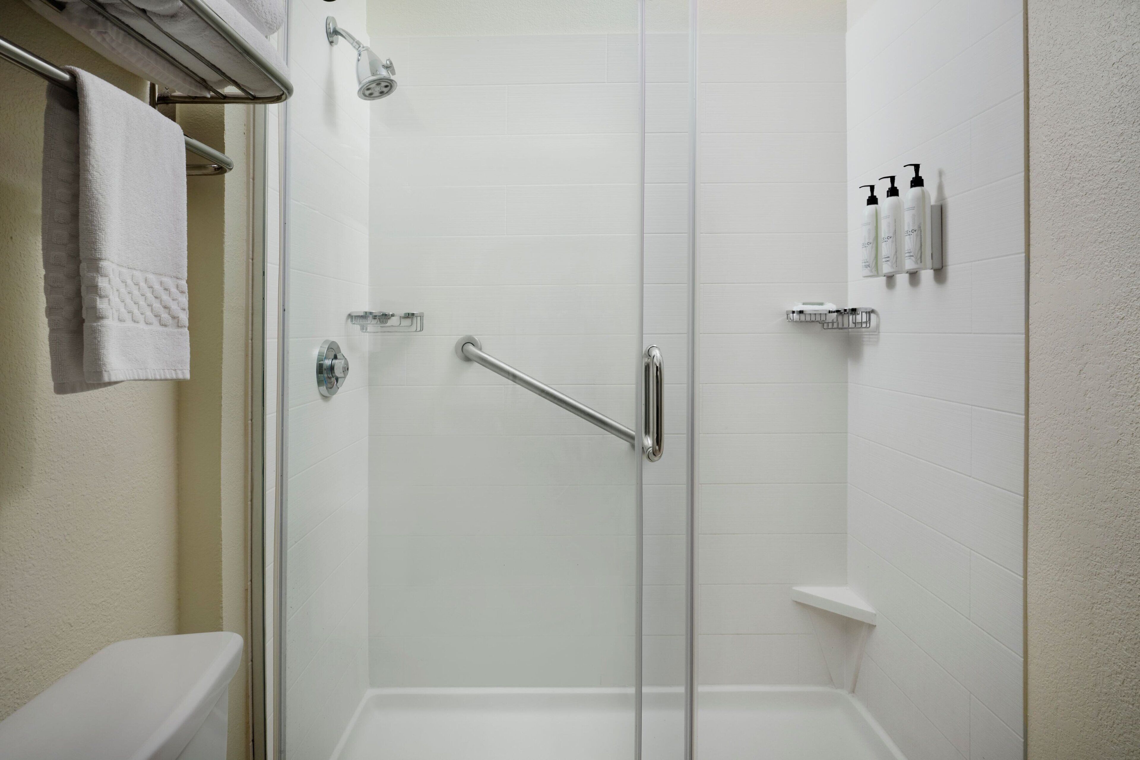 A modern bathroom with a glass-enclosed shower, a white toilet, and a towel rack.