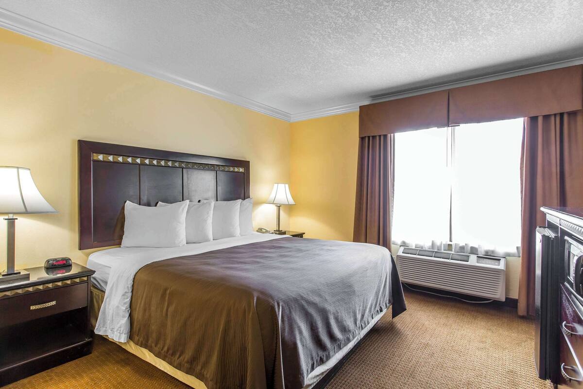 A hotel room with a large bed, two bedside tables, a lamp, a heater, and a view of the outdoors.