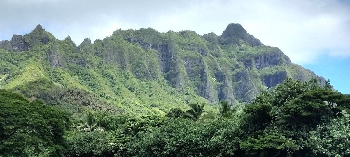 A mountain landscape with dense vegetation and a prominent peak.
