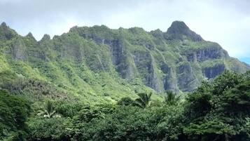 A mountain landscape with dense vegetation and a prominent peak.