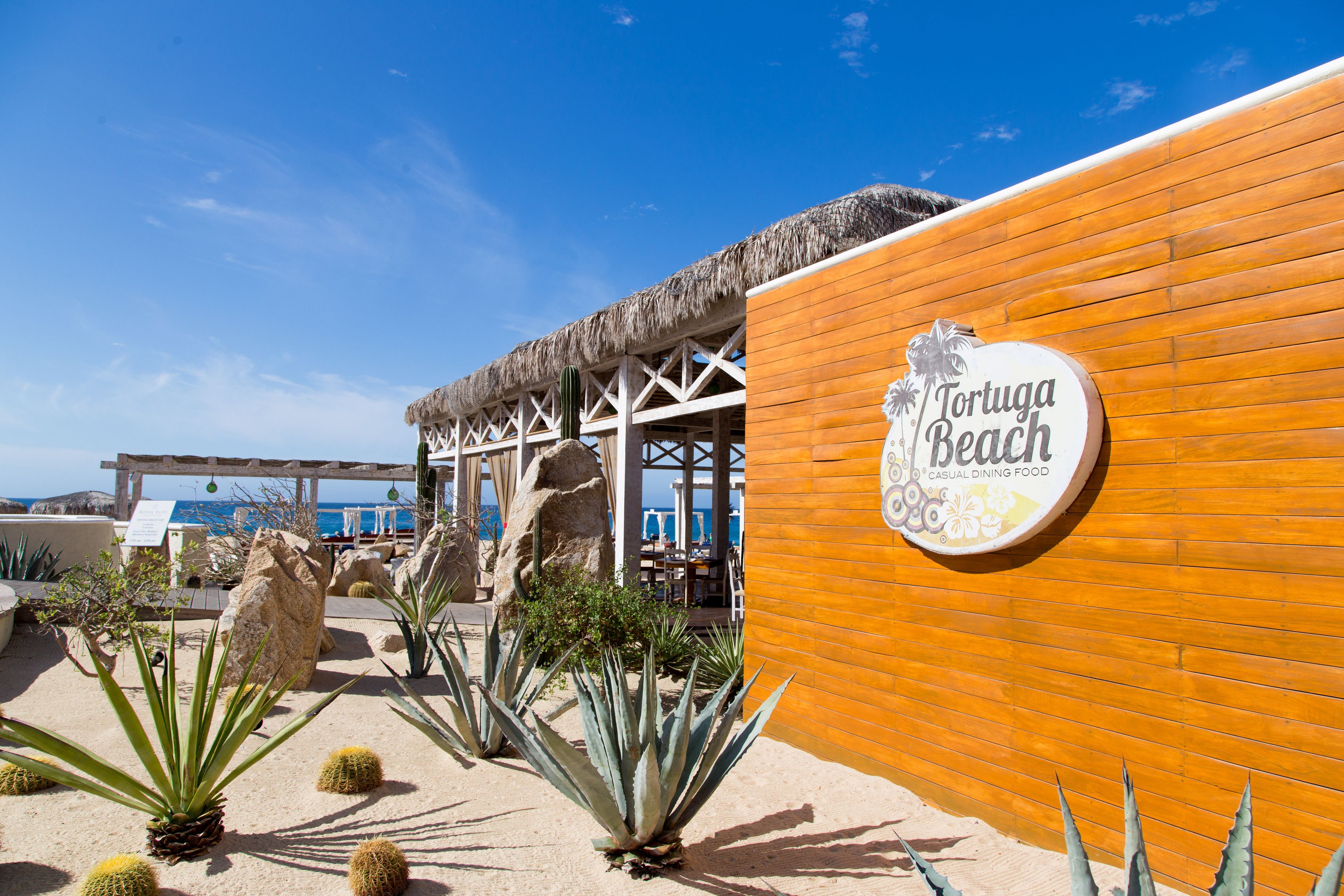 A beachside restaurant named 'Tortuga Beach' with a wooden facade, cactus plants, and a thatched roof structure.