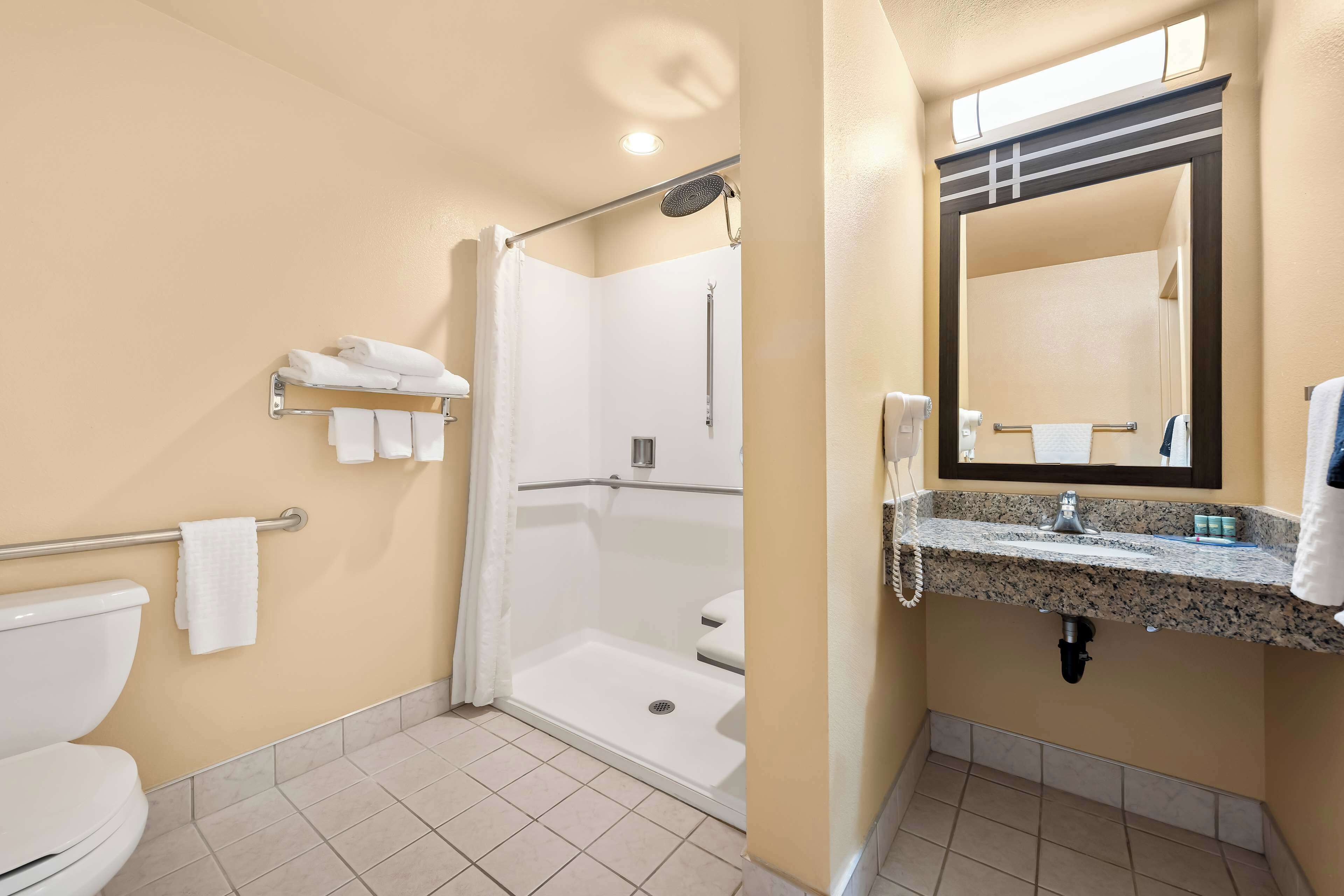 standard room, 1 king bed, accessible, non smoking | bathroom | combined shower/bathtub, hydromassage showerhead, free toiletries