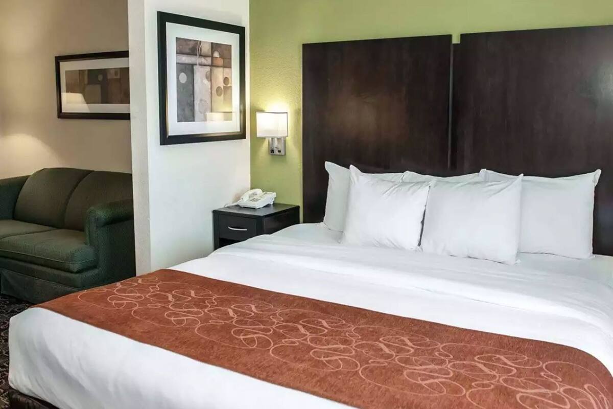 Una habitación de hotel con una cama, un sillón verde, una mesita de noche con un teléfono y un cuadro en la pared.