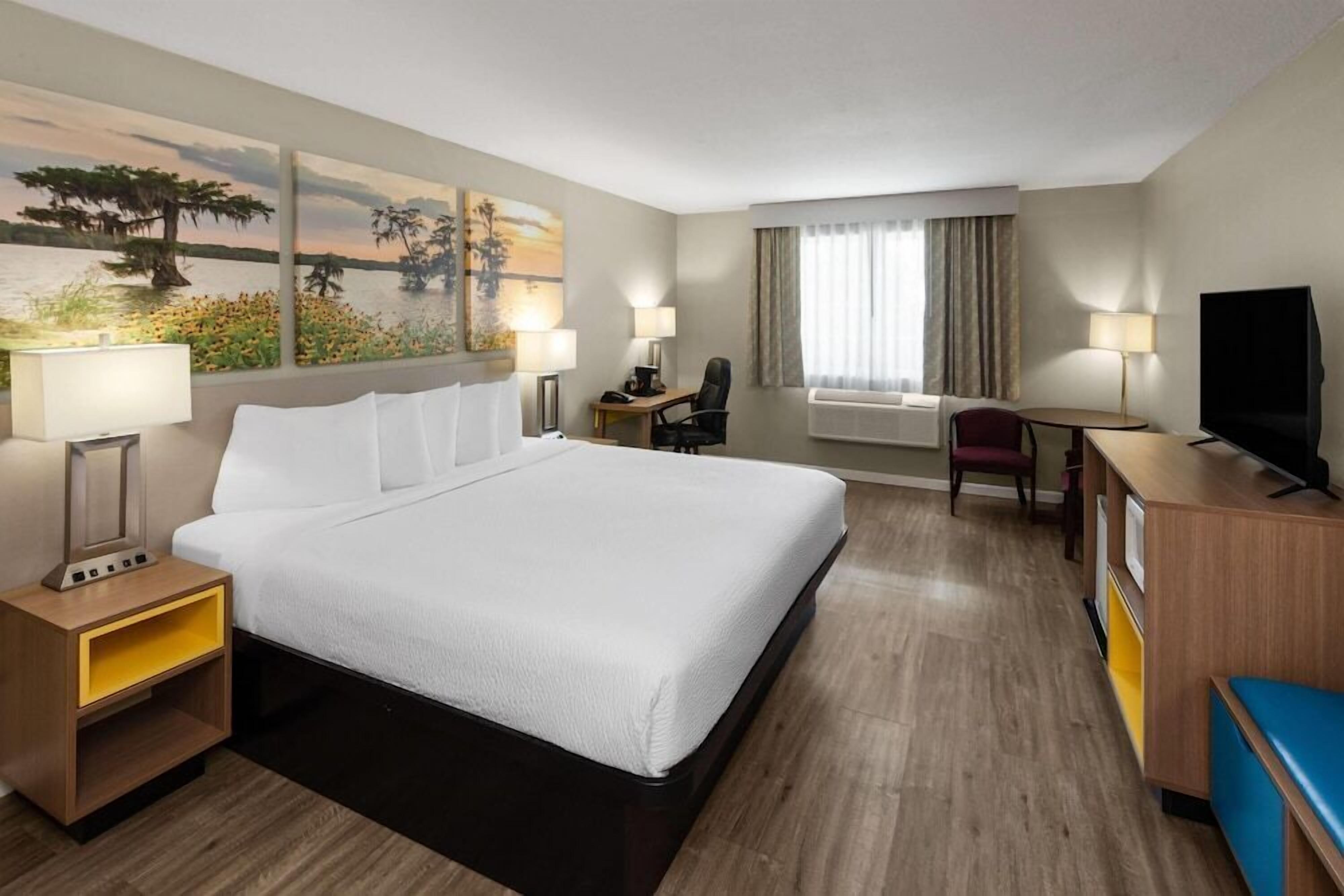 Premium bedding, blackout drapes, iron/ironing board, rollaway beds